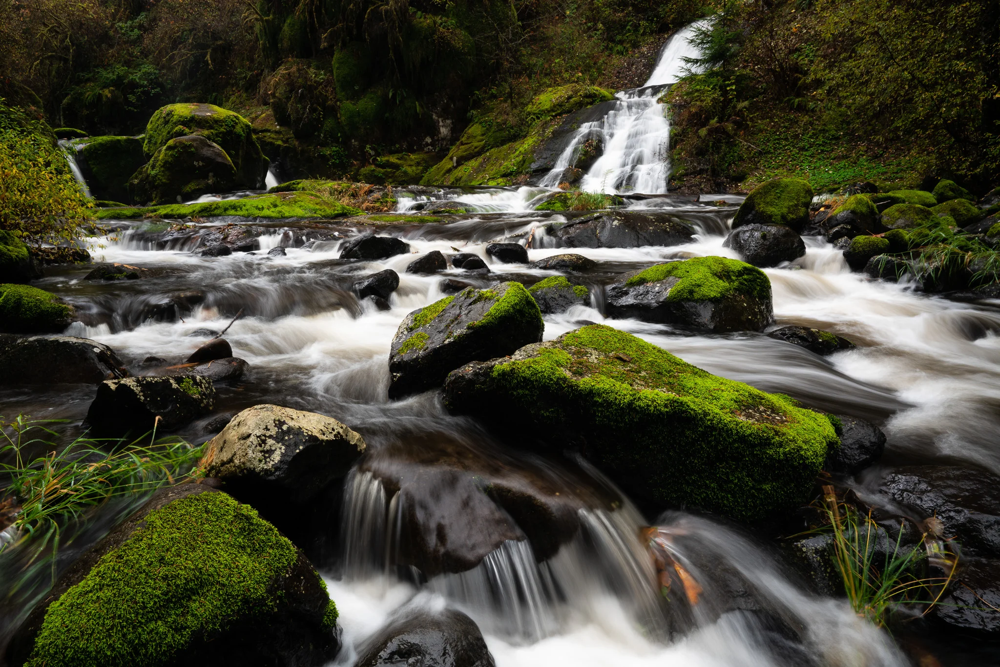 Sweet Creek, Halfway