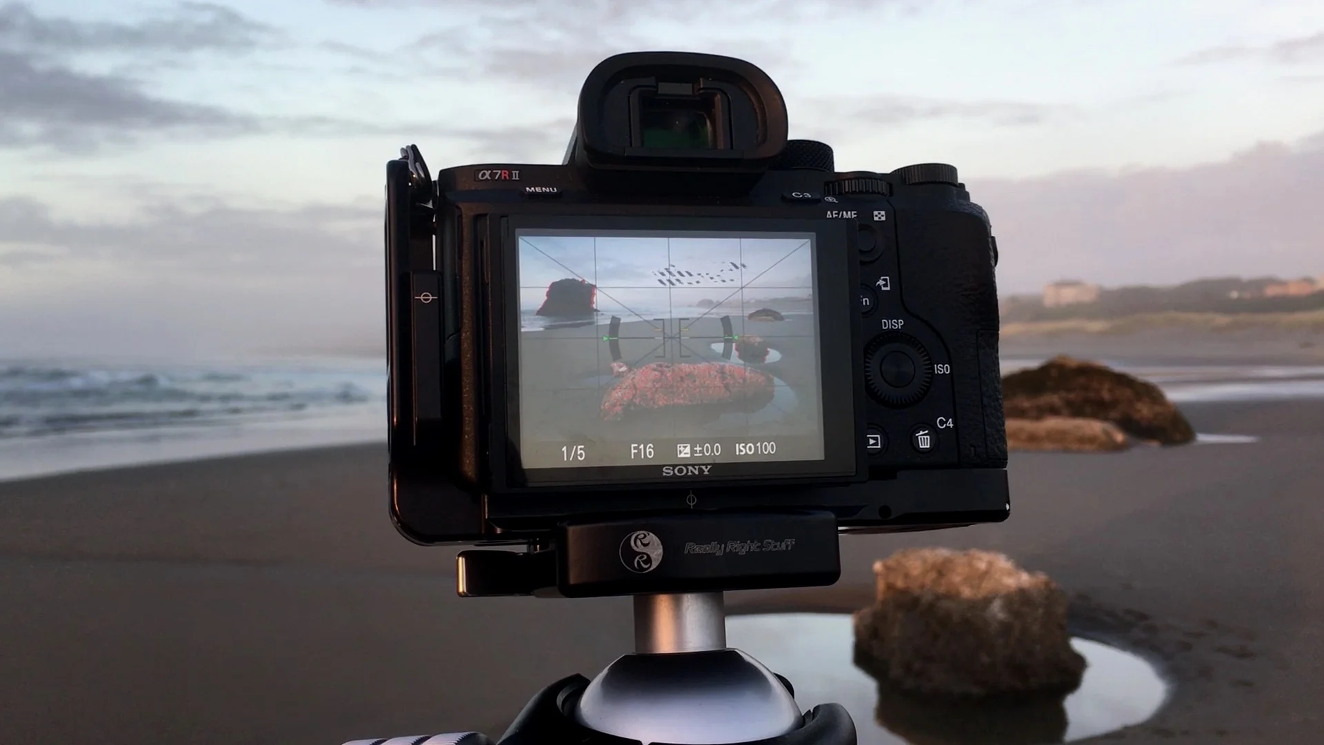 In The Field: I Make The Wrong Composition Choice #398