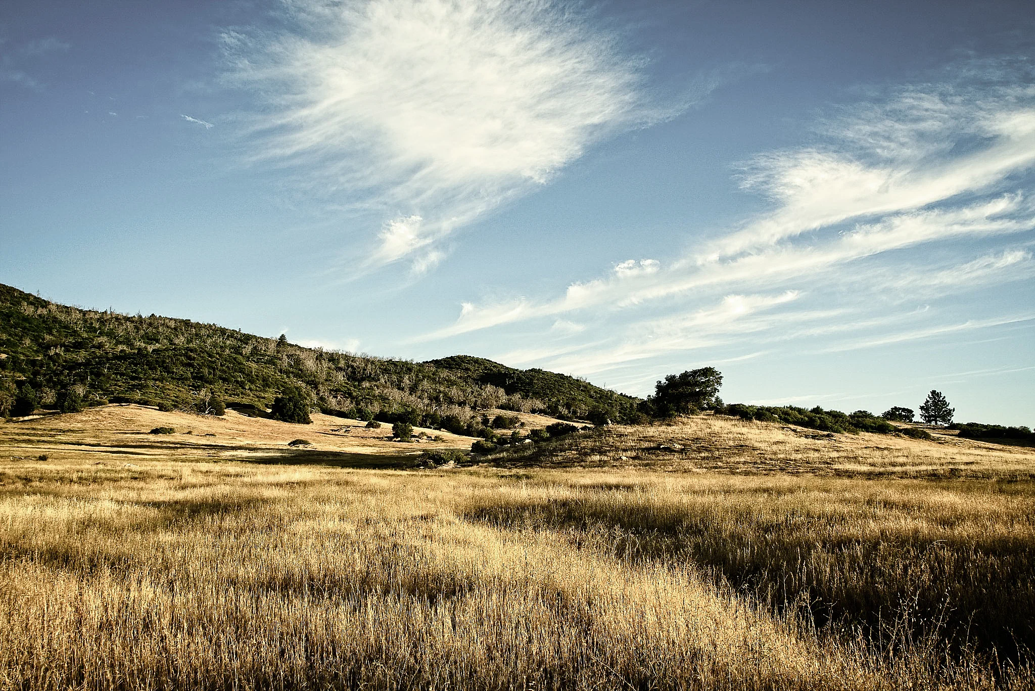 In Post: A Muted Look For Landscape Photos #383