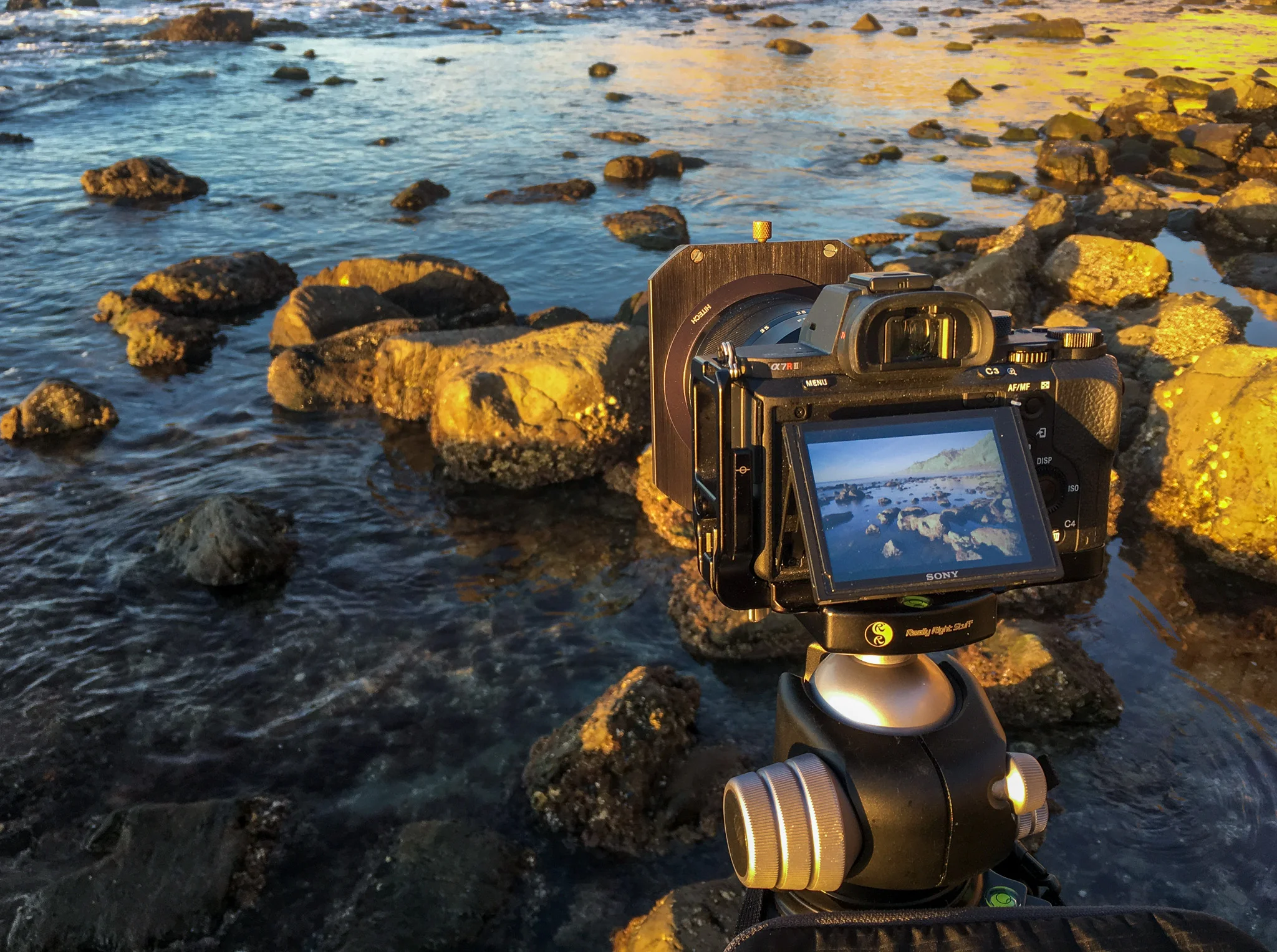 Tides Can Change Everything - In The Field #407