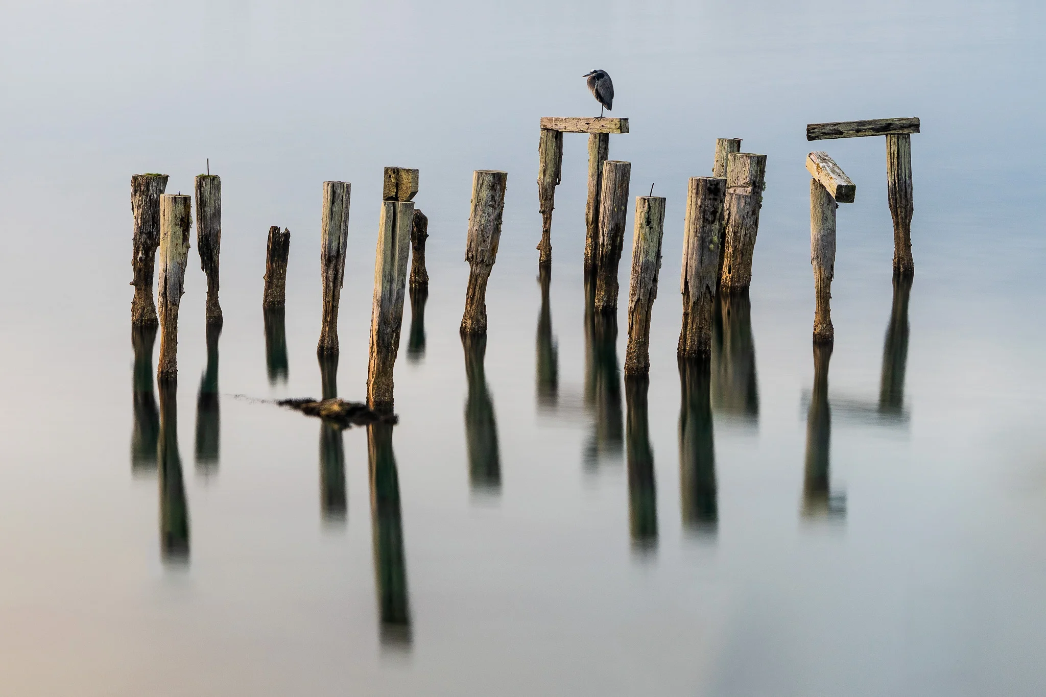 Pilings In Bandon