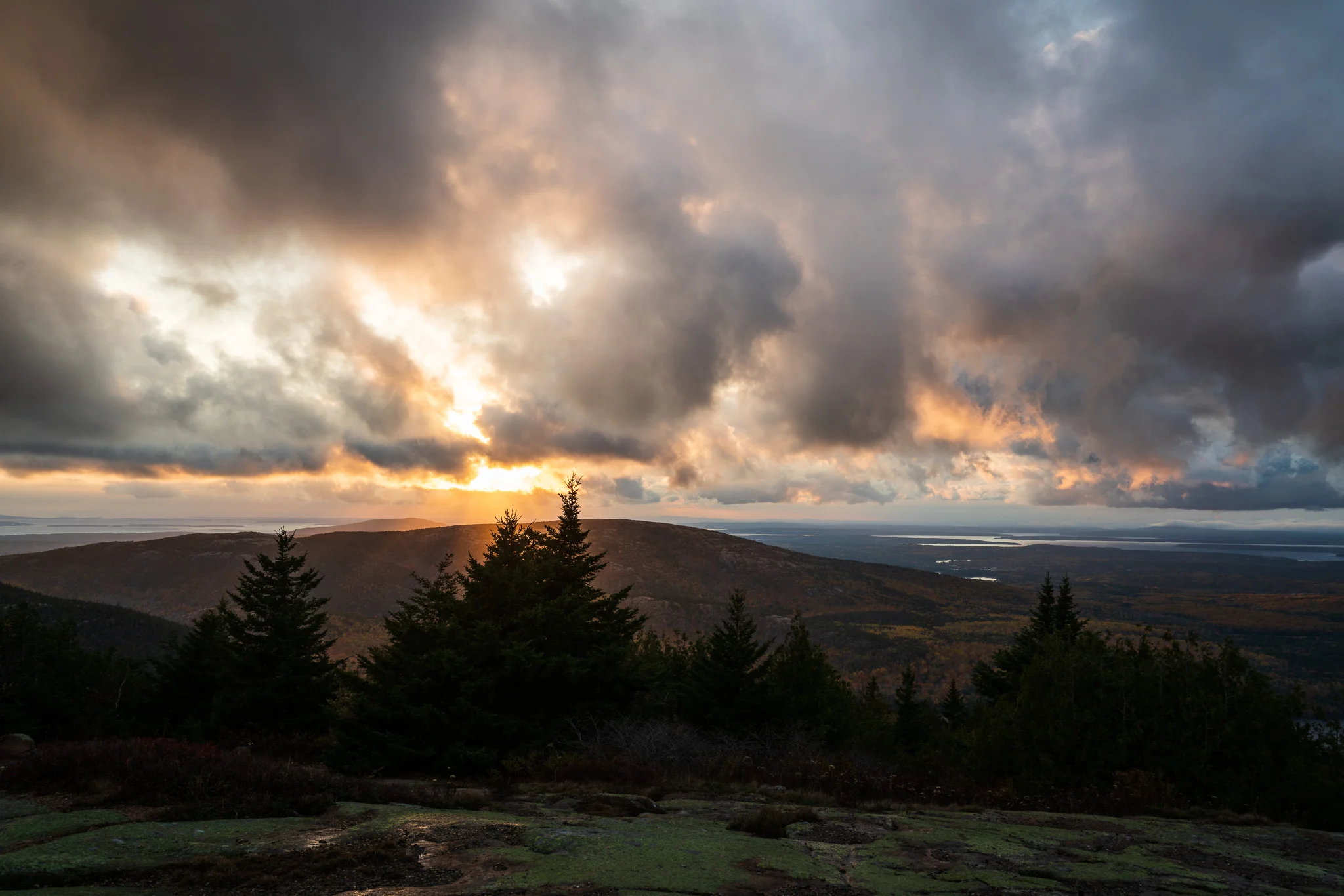 Blue Hill Overlook Acadia National Park - In The Field #411
