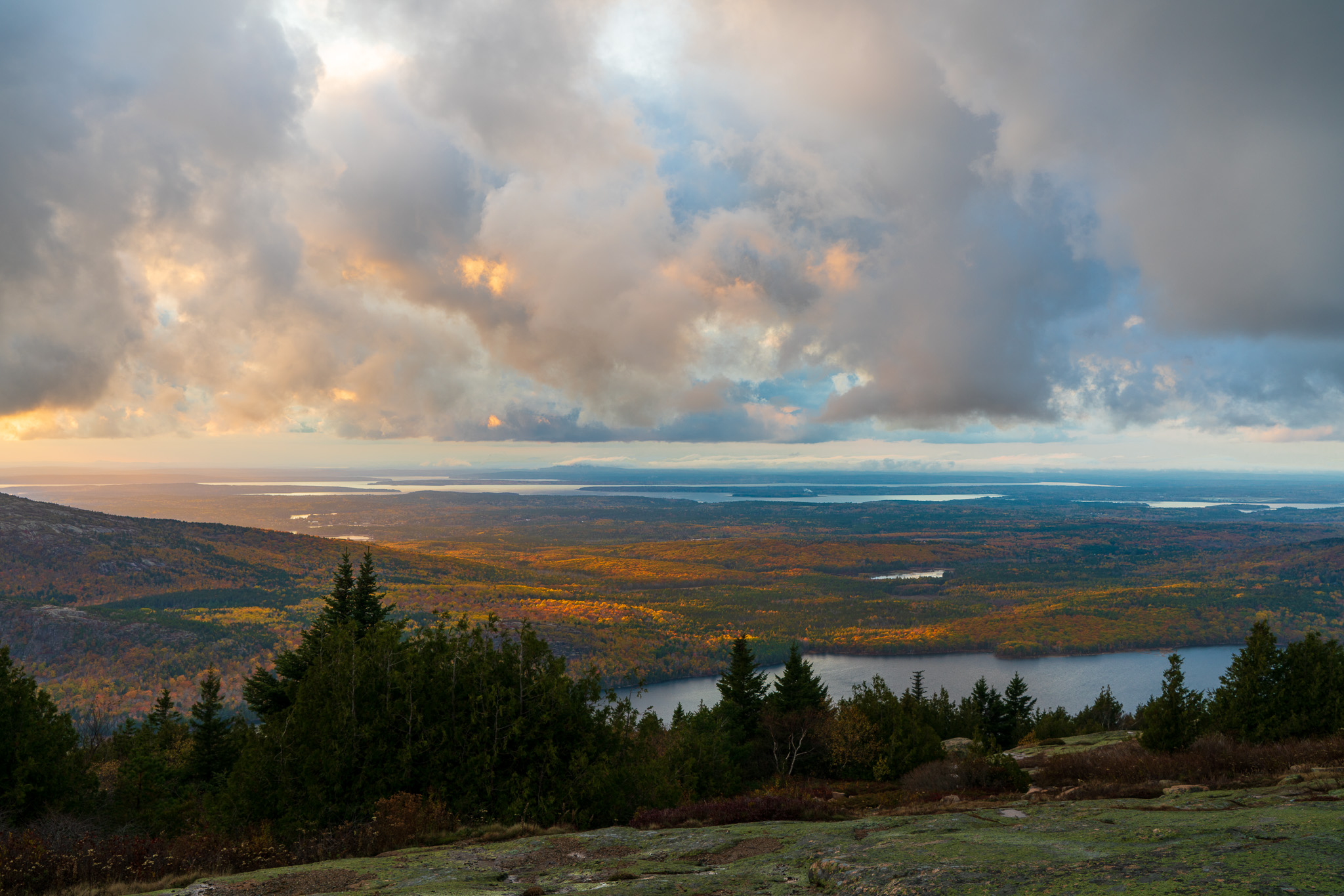 A Sunshine Glow With Radial Filters - In Post #412