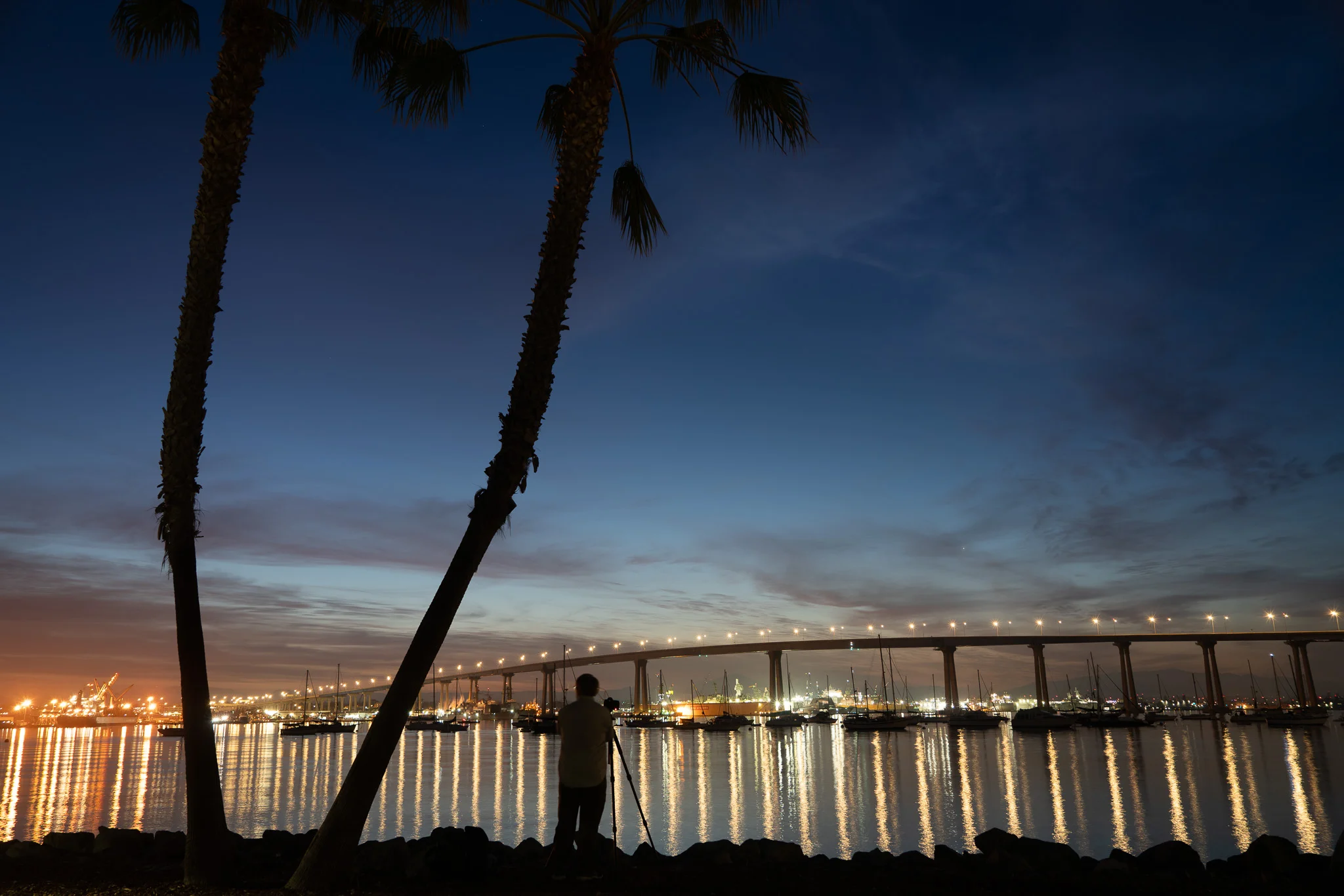 Photographer In Coronado