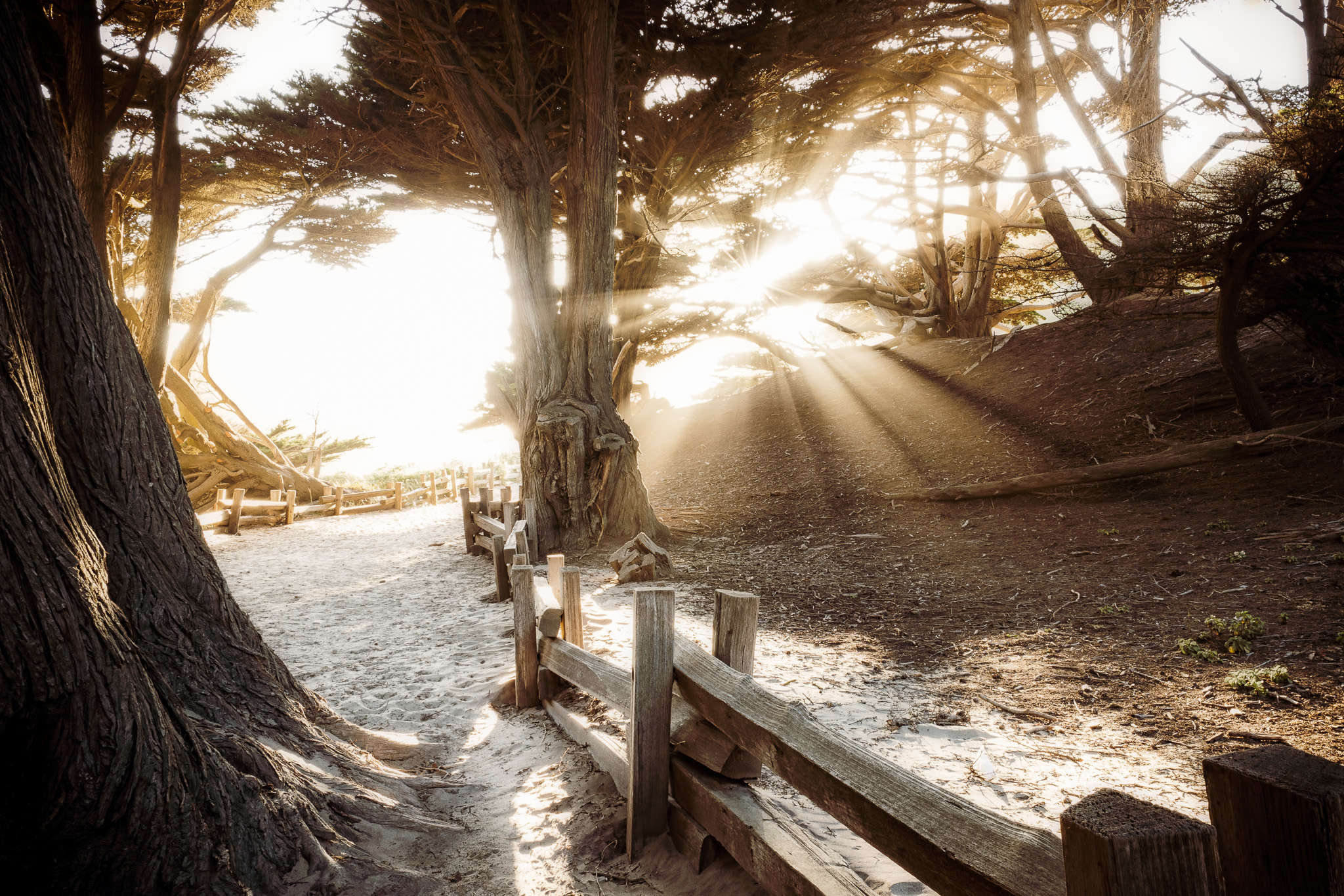 Pfeiffer Beach Becons