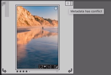 Photo in a Lightroom catalog with a metadata conflict