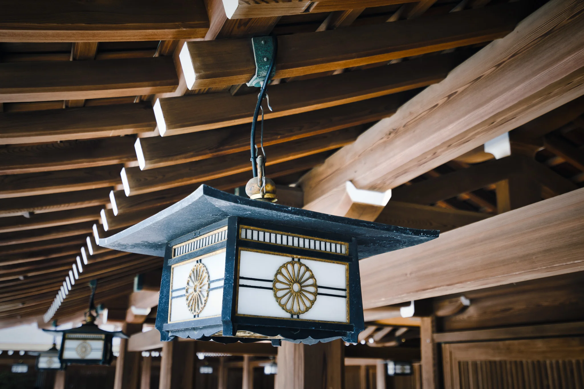 Lantern In Tokyo Travel 04