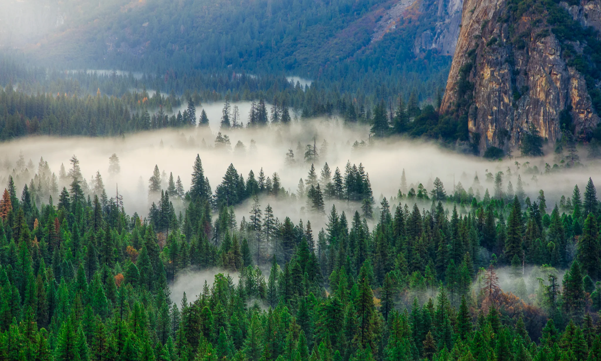 Fog In Tunnel View, Yosemite National Park