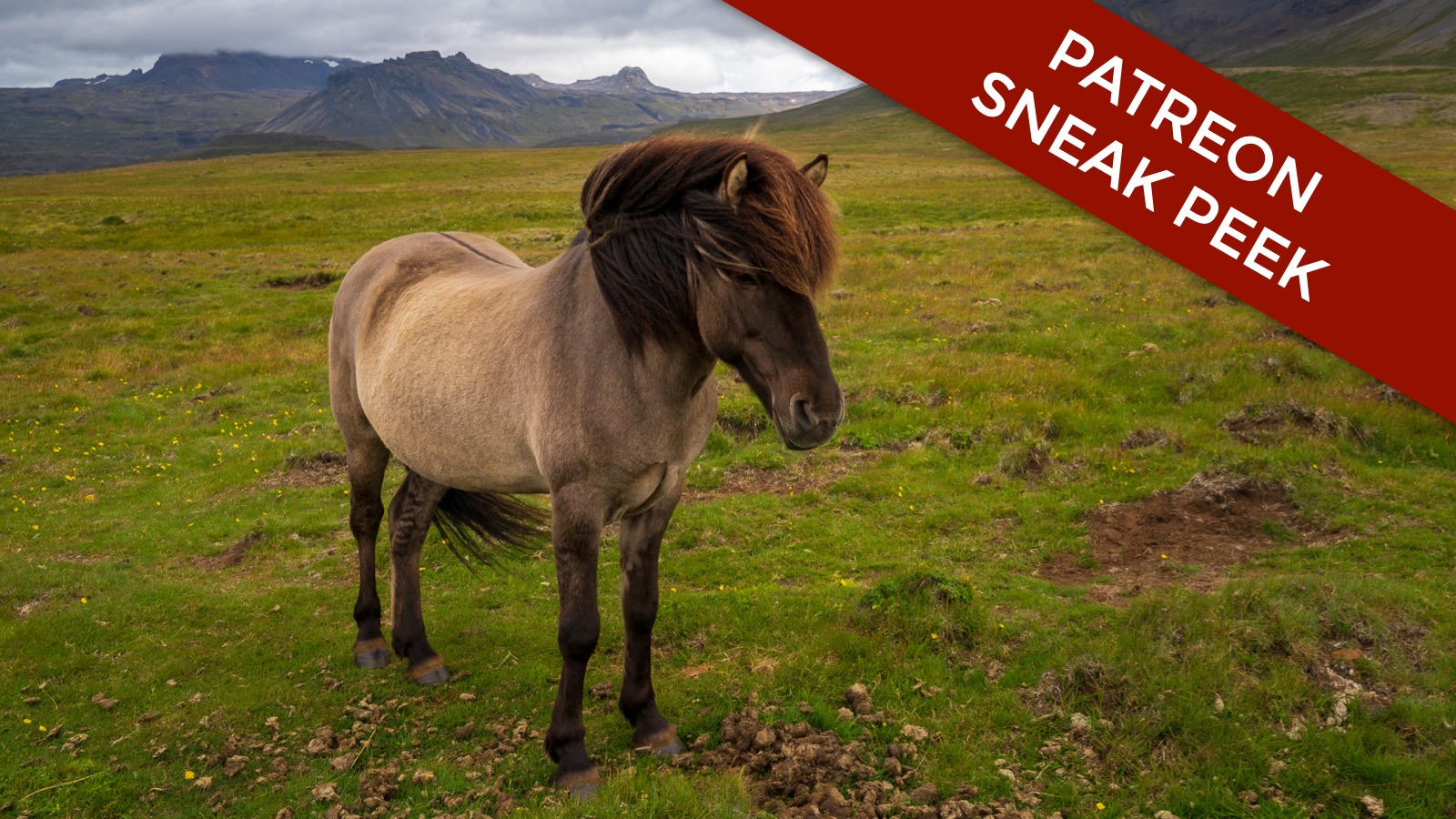 Brushing &amp; Selective Adjustments - Patreon Sneak Peek