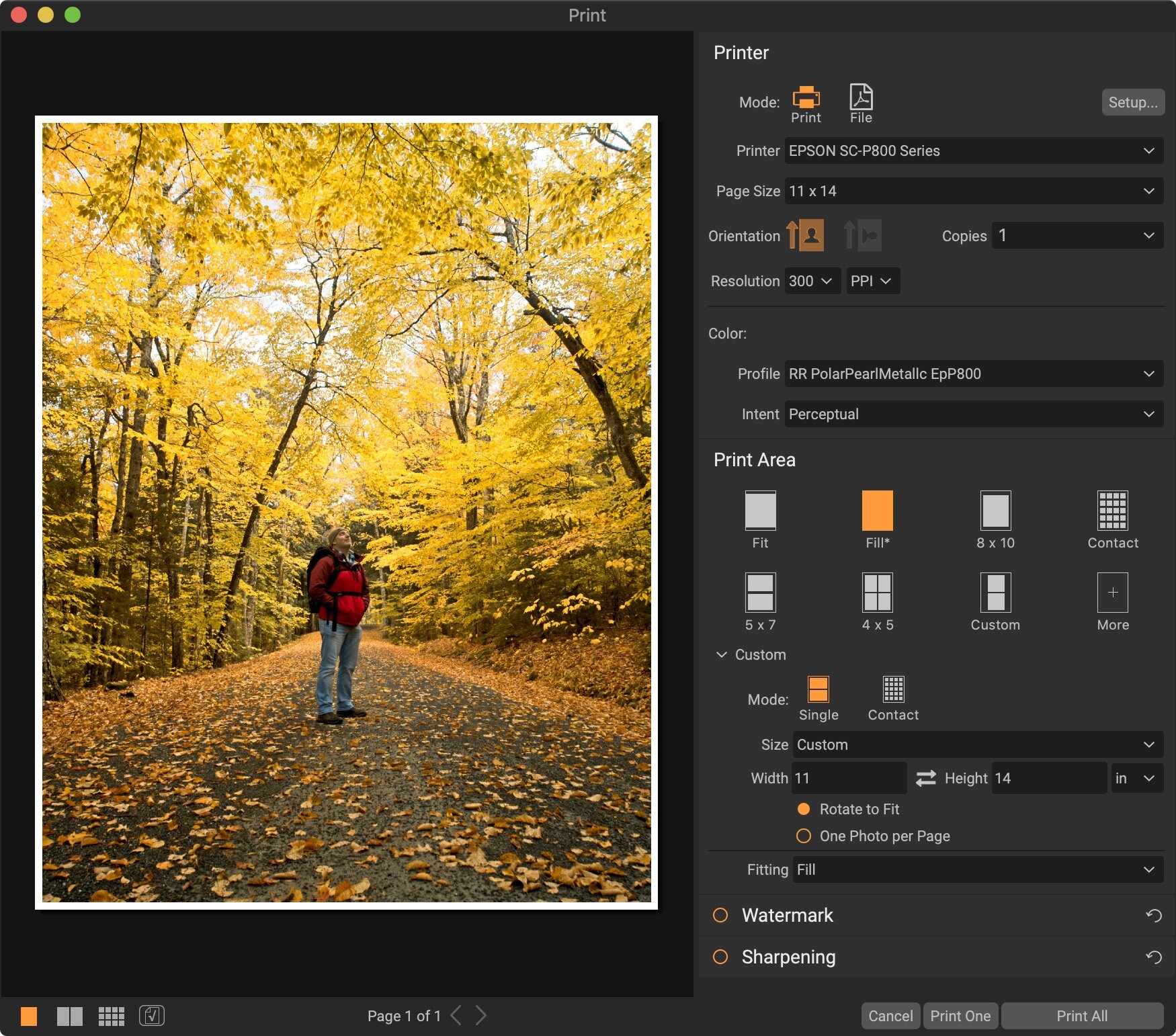 on1 photo raw albums cataloged folders on1 photo raw albums cataloged folders