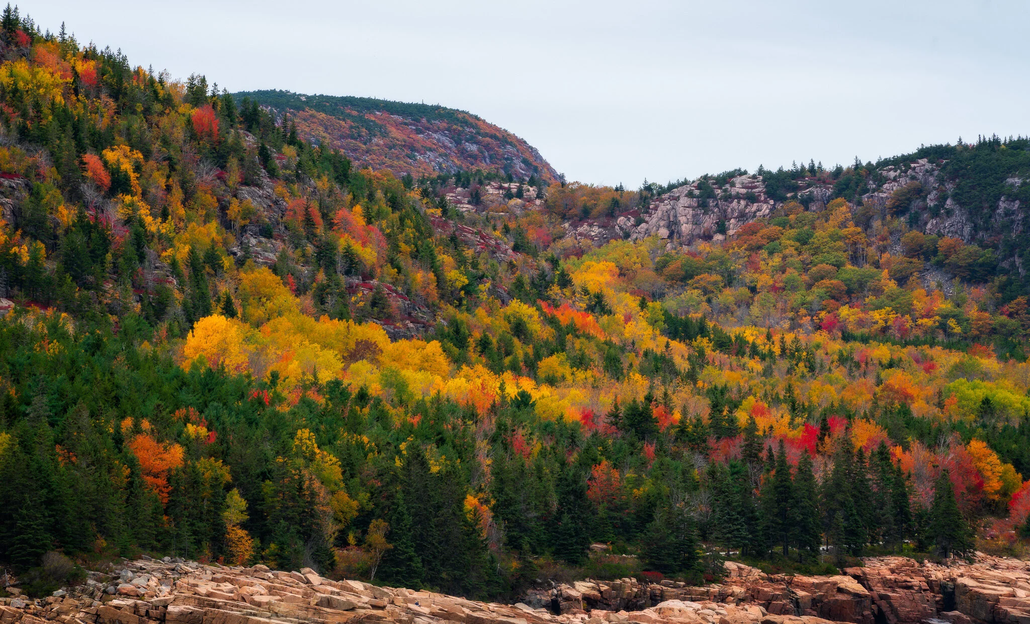 Fall Color In Acadia National Park