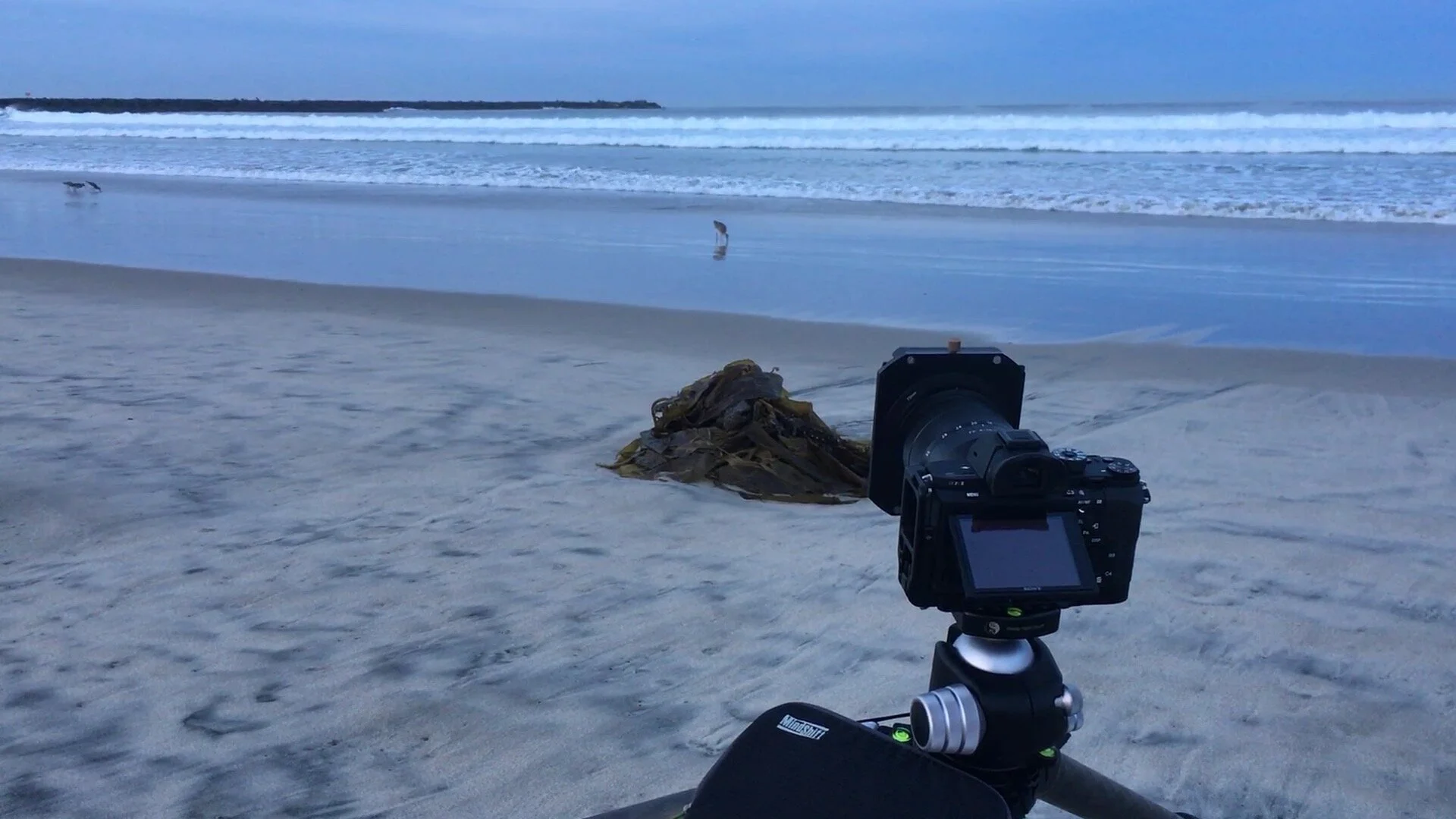 Blue Hour At The Beach - In The Field #453
