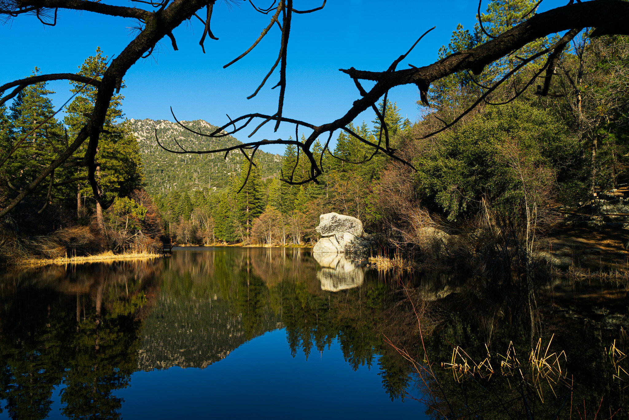 Lake Fulmor