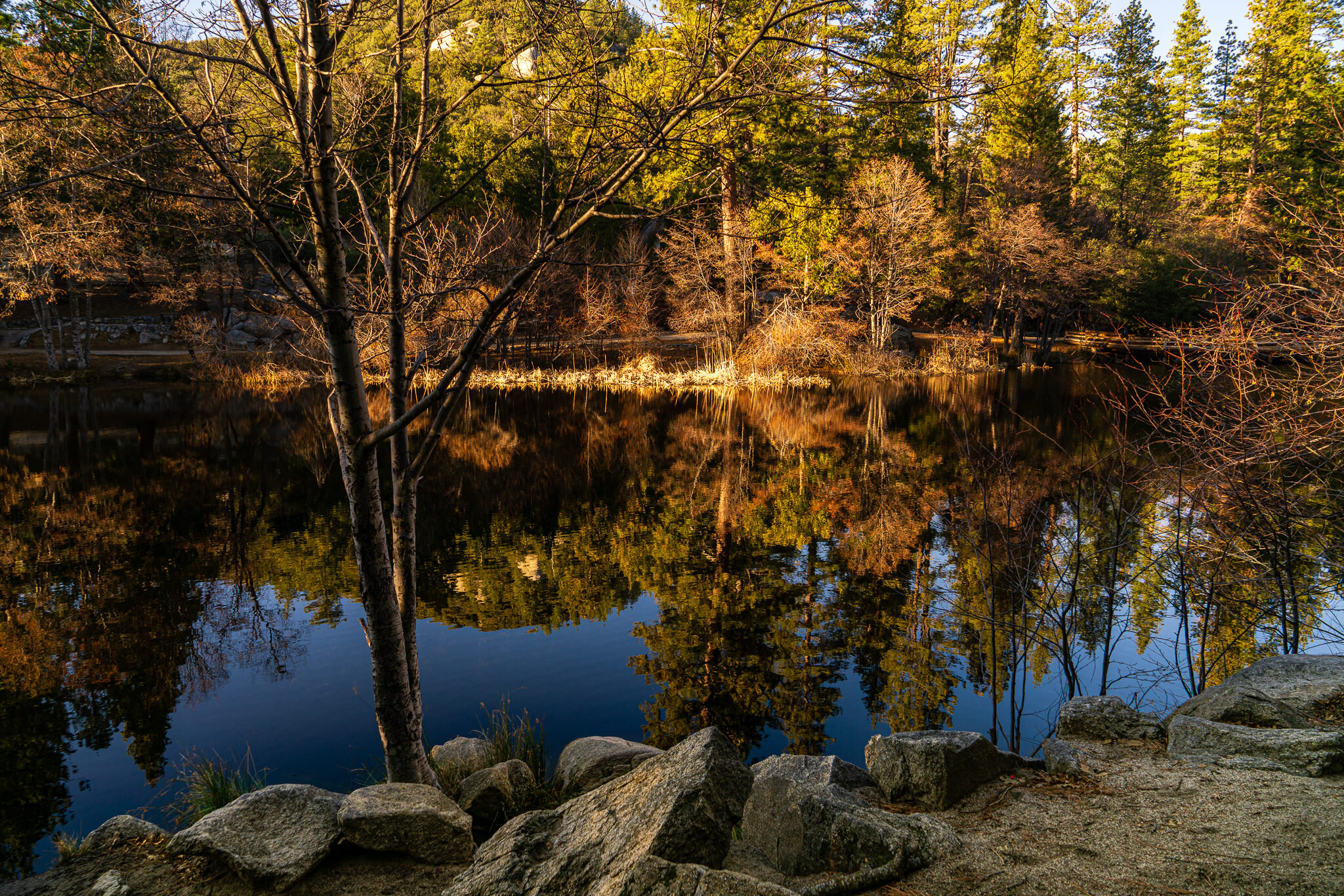Lake Fulmor Reflections 2