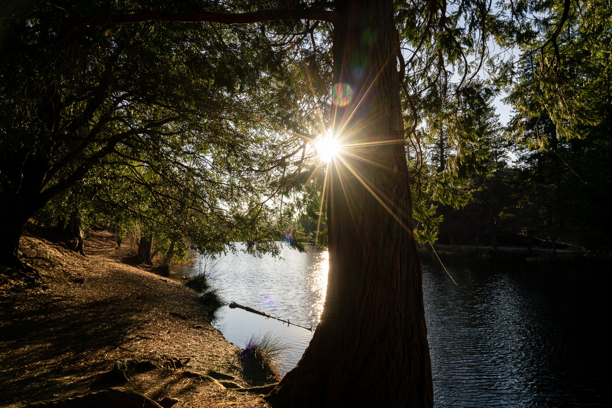 Lake Fulmor Afternoon