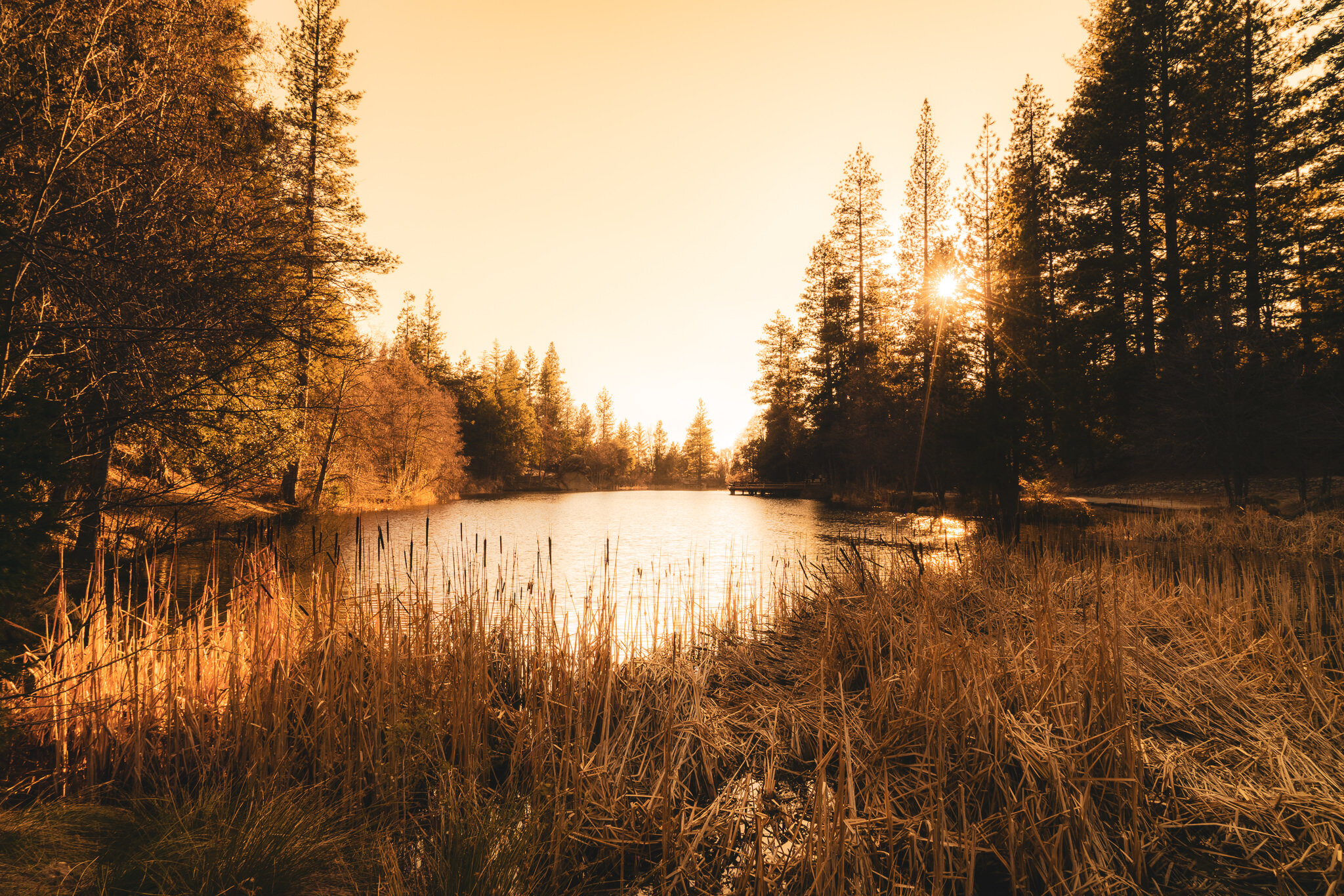 Lake Fulmor Autumn Rendering