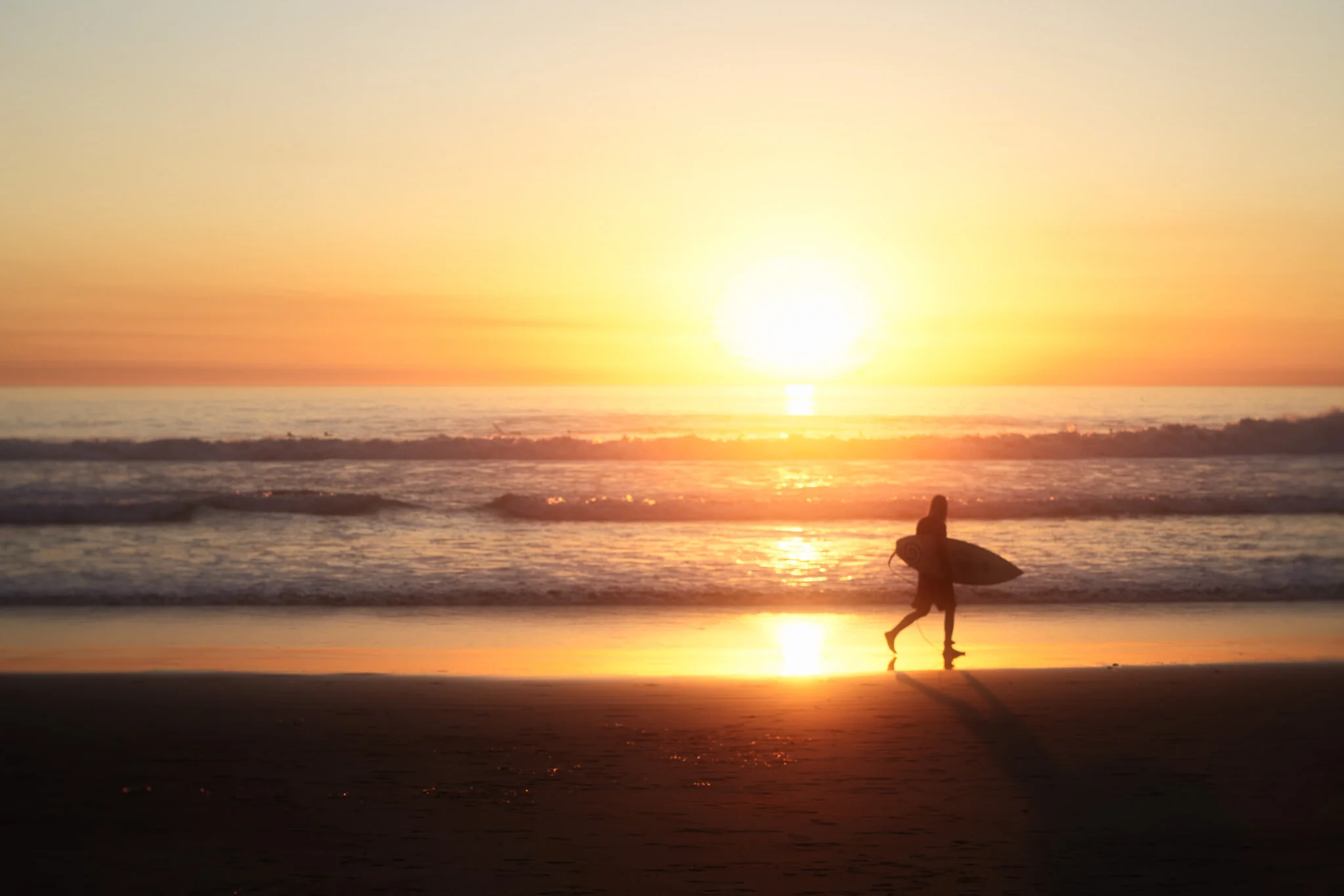 Advanced Search In ON1 Photo RAW