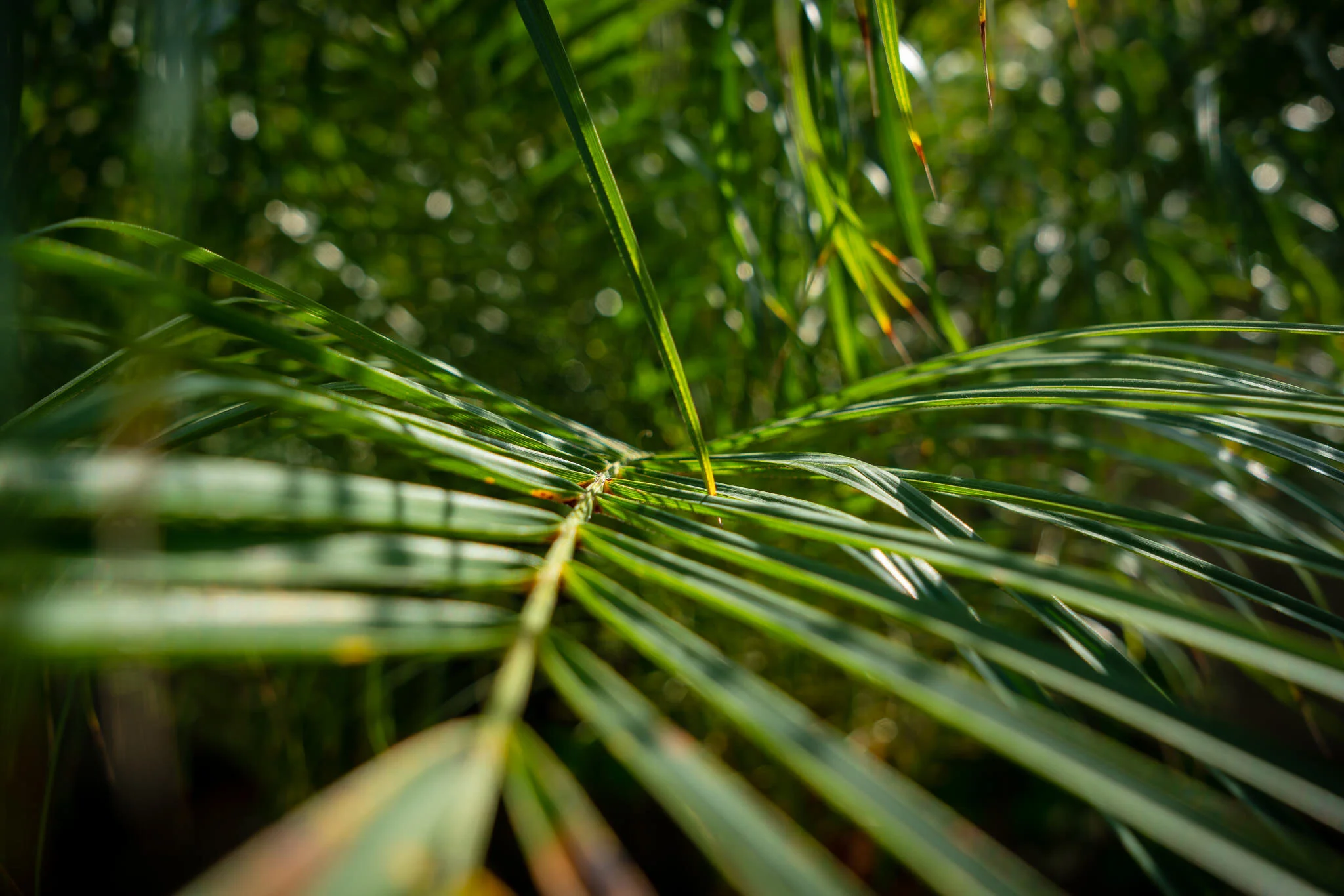 Guide Your Viewer With Texture &amp; Clarity - In Post #468