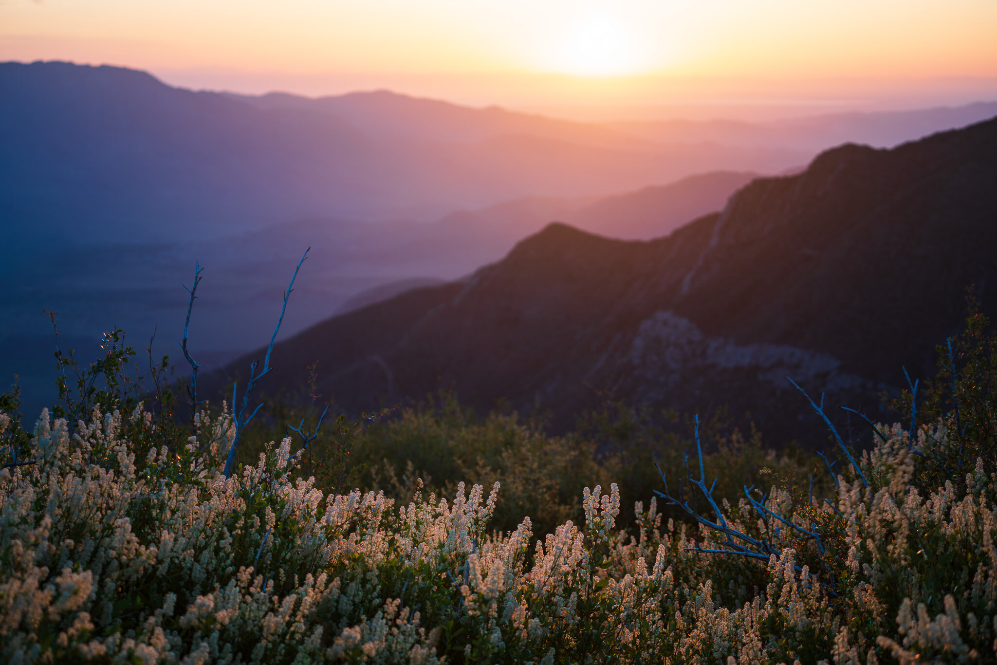 Morning Light In The Mountains