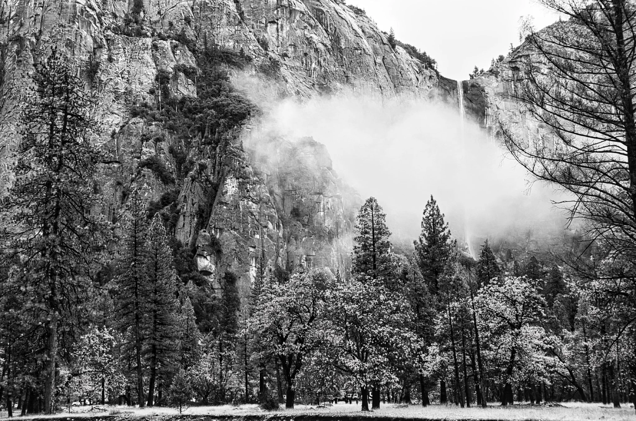 Black & White Conversion In Luminar