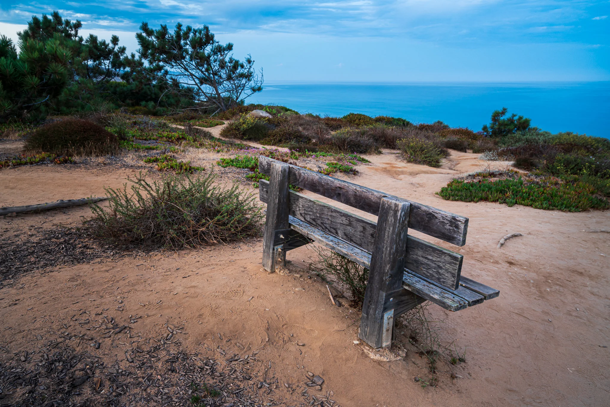 A Sunrise In Del Mar - In The Field #479