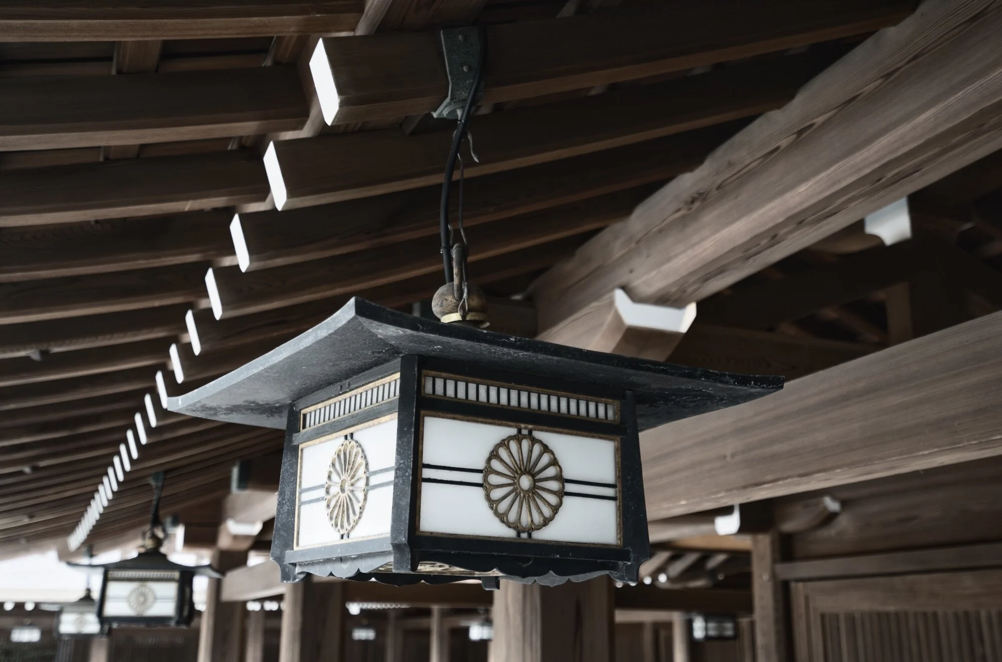 Luminar AI - A First Look