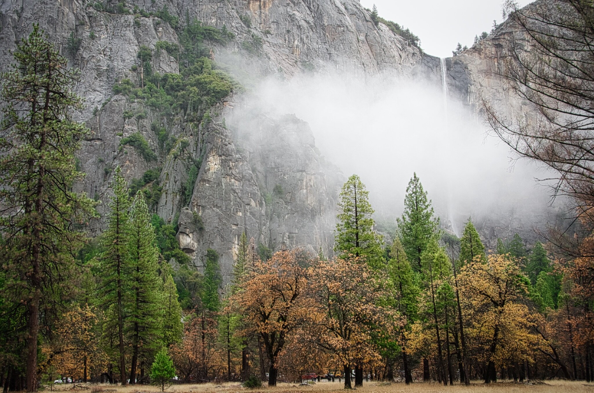 Luminar AI Is Not Your (DAM) Asset Manager