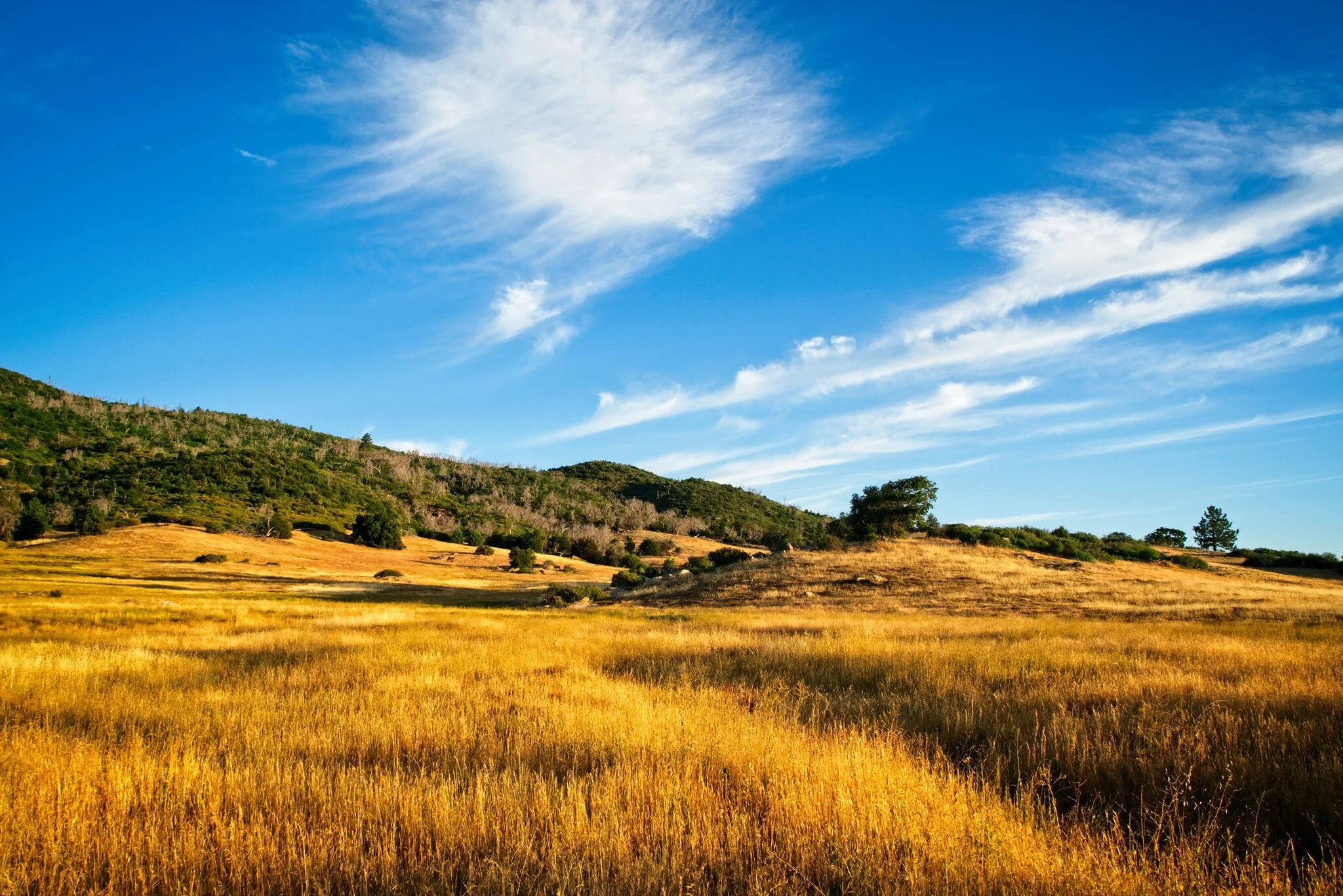 Set These Custom Keyboard Shortcuts In ON1 Photo RAW Right Now!