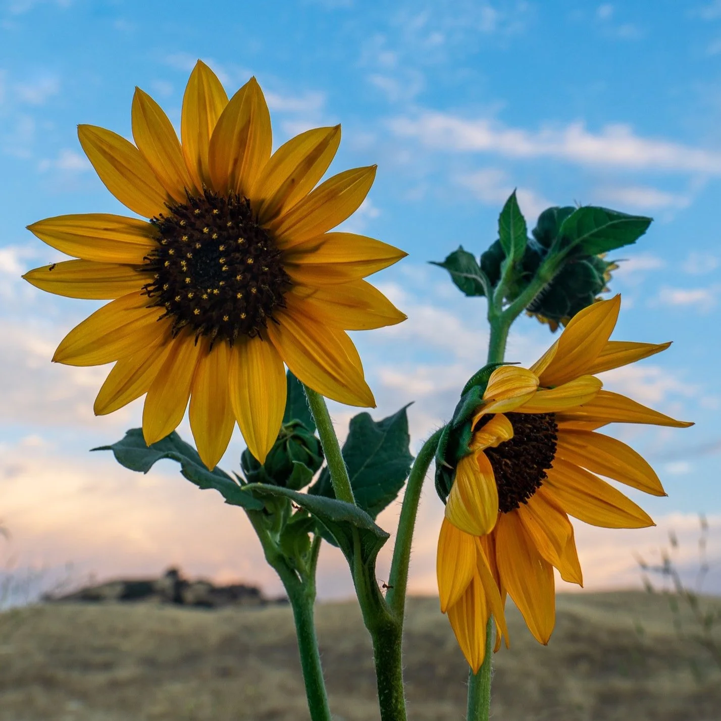 Refining Masks In ON1 Photo RAW And ON1 Effects