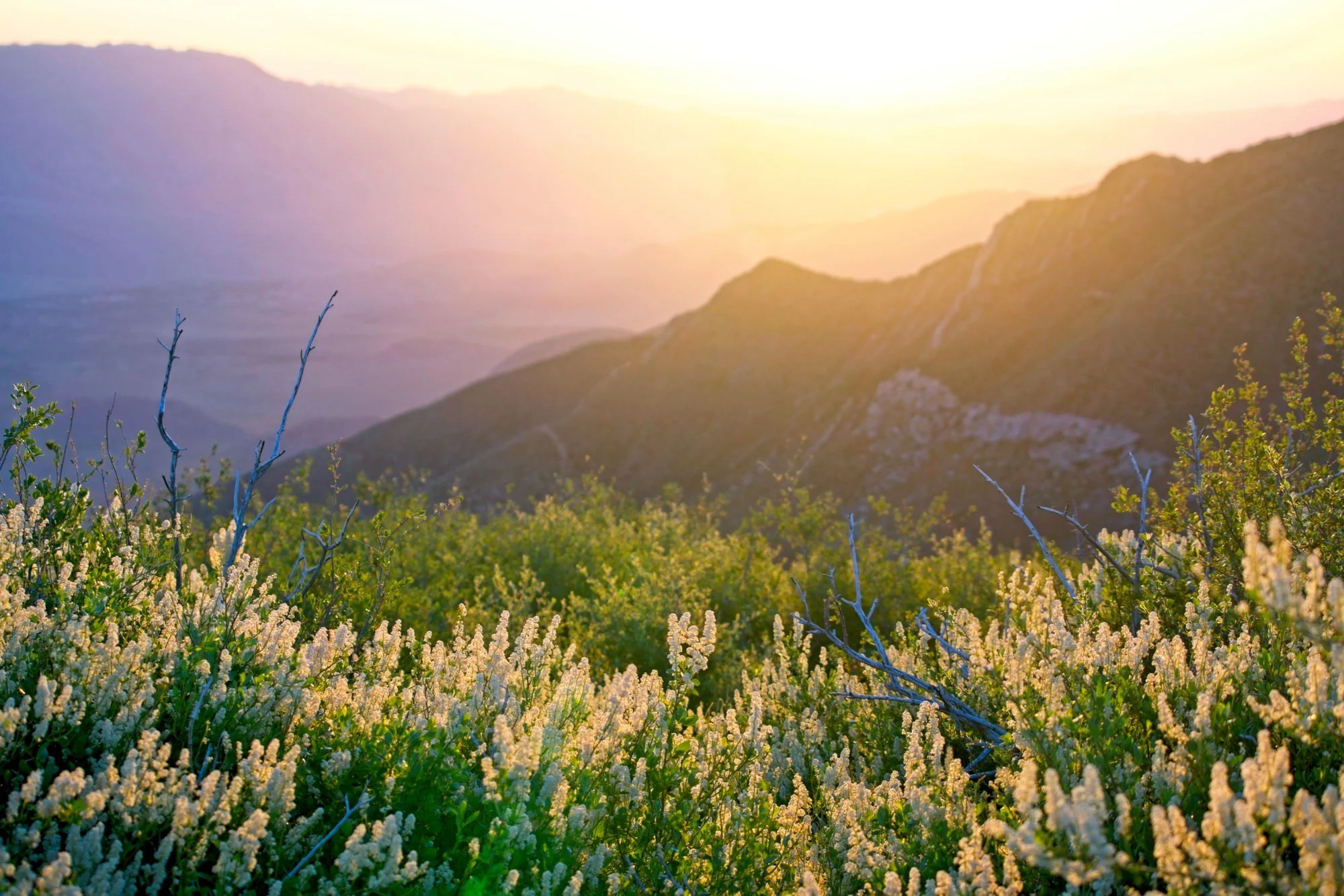 A Deeper Look At AI Adaptive Presets In ON1 Photo RAW 2023