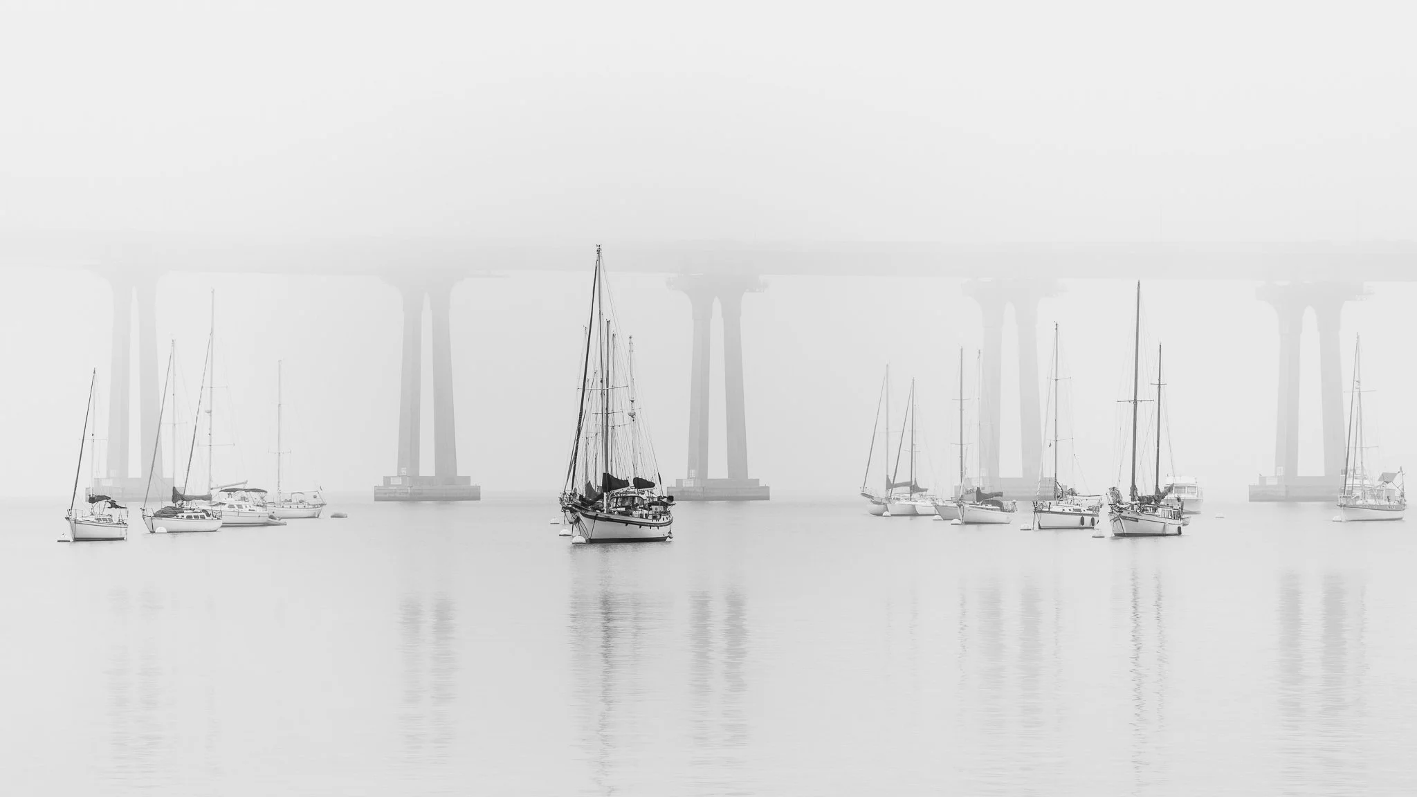Live Edit: High Key Black & White