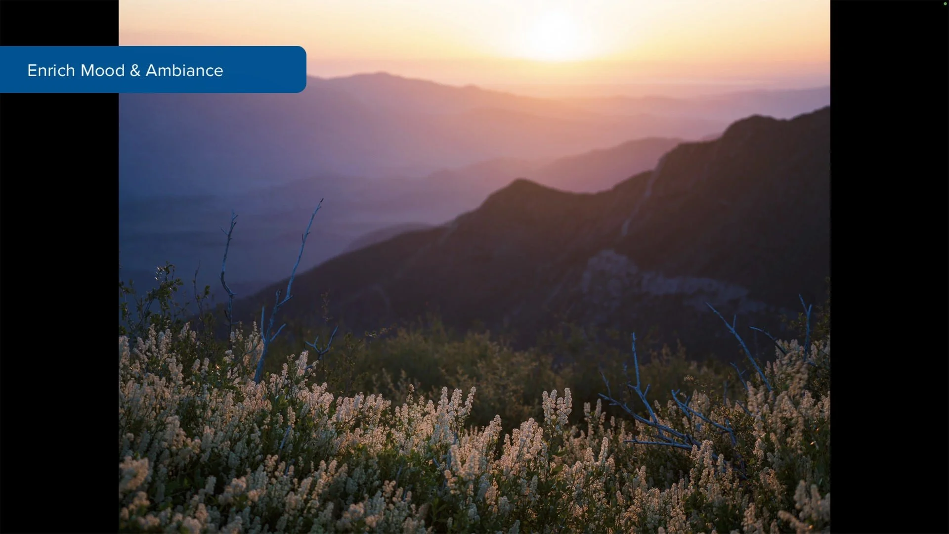  Learn why we shape light &amp; shadow 