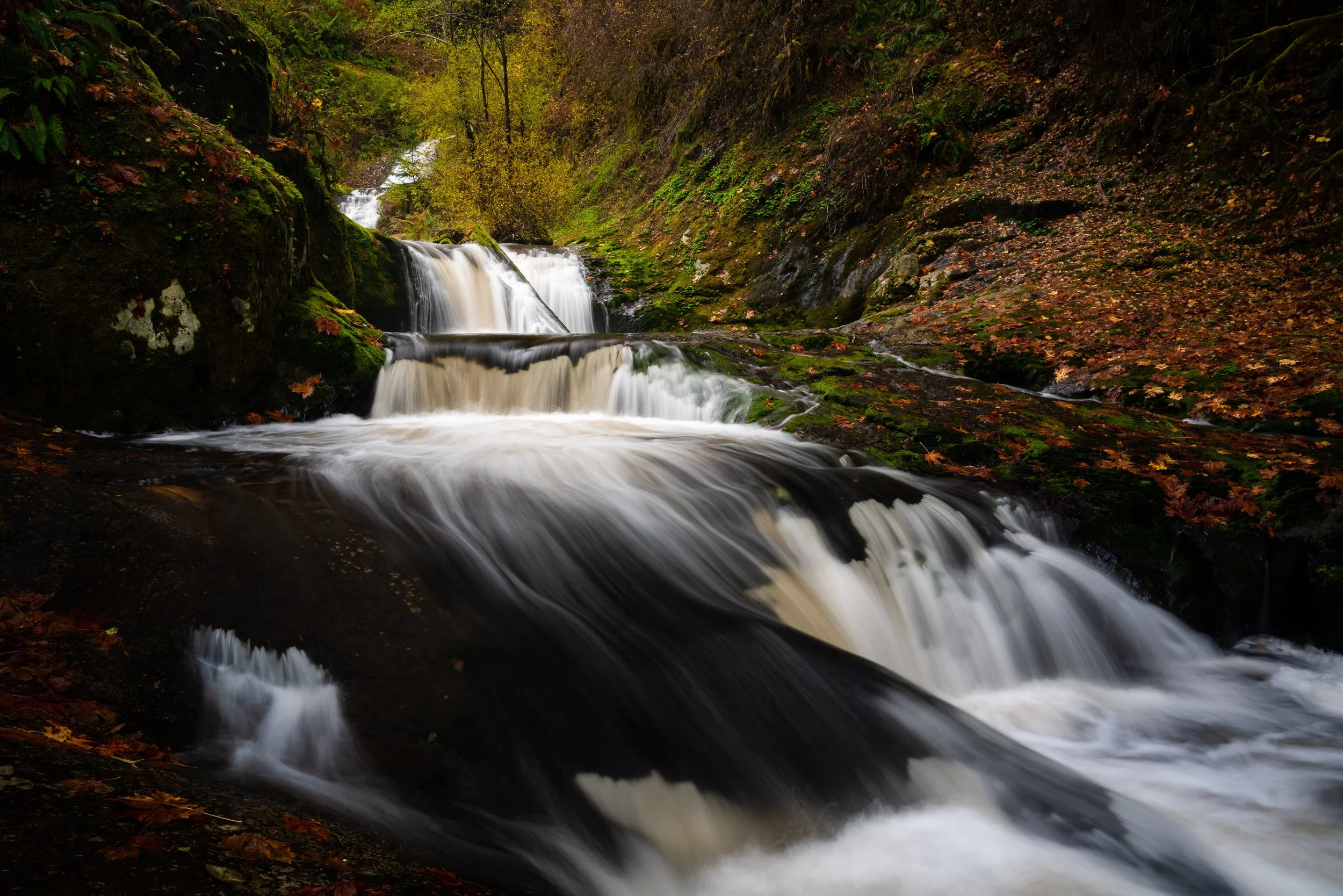 Scott-Davenport-US-Oregon-2018-11-04-0092-Sweet Creek Cascades LR MLS.jpg