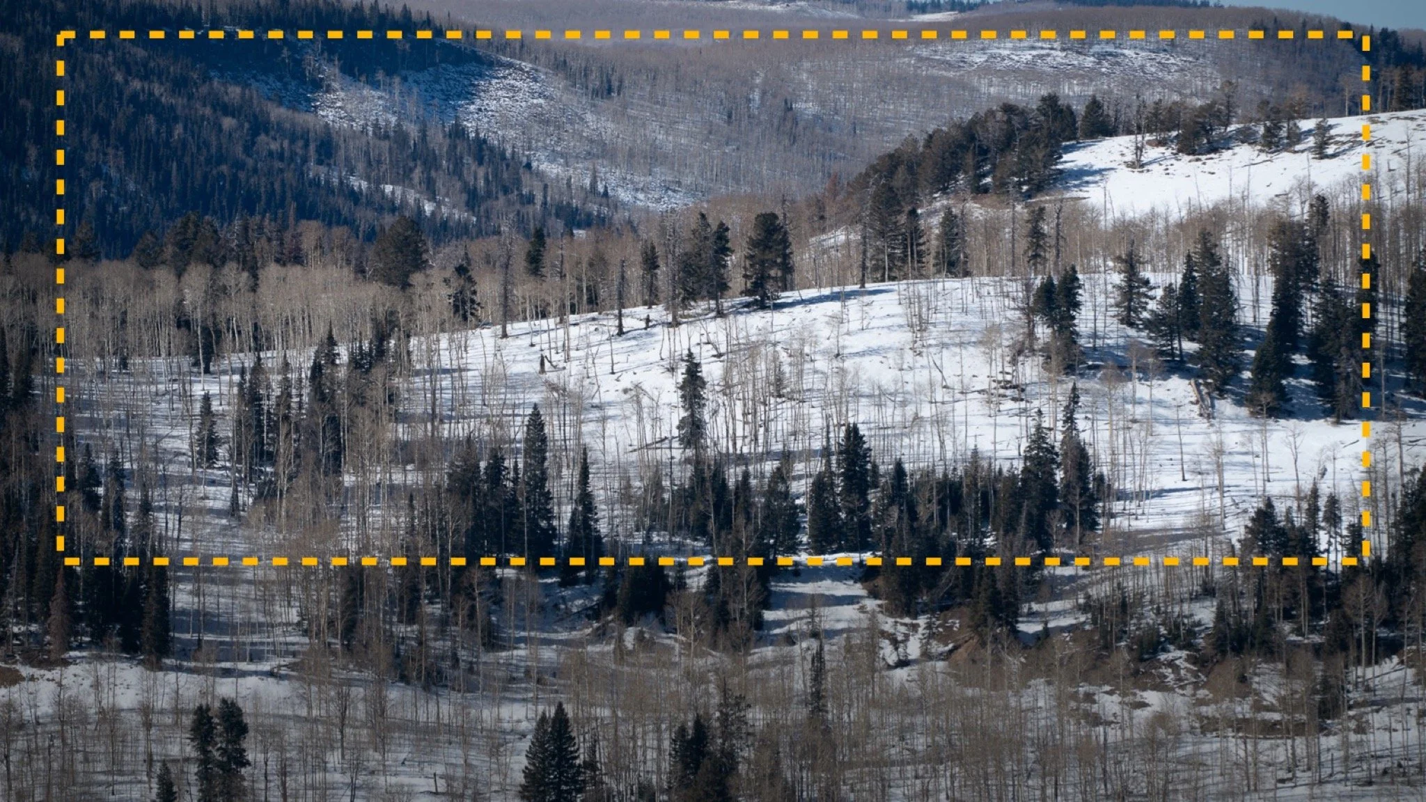 Start With Crop: Strengthen Your Composition First