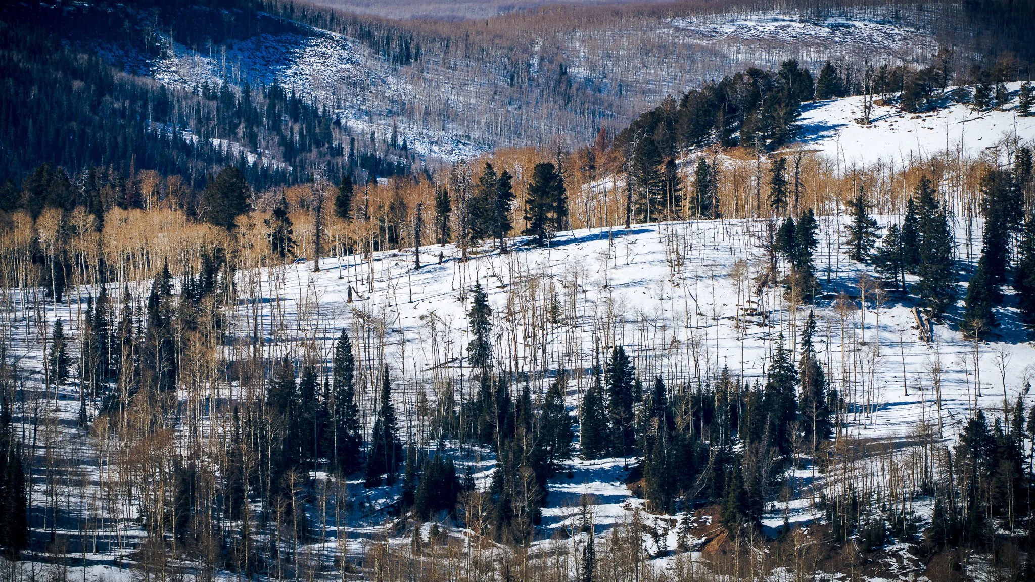 If You’re Not Using Intersect in Lightroom, You’re Missing Out