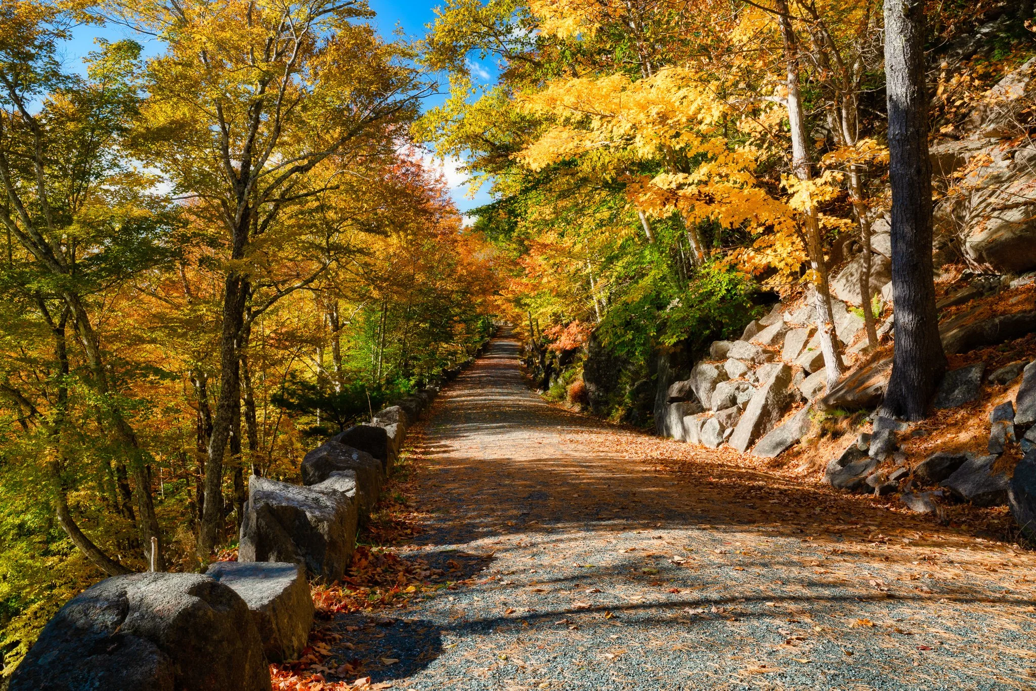 One of the many carriage roads that weave through Acadia.