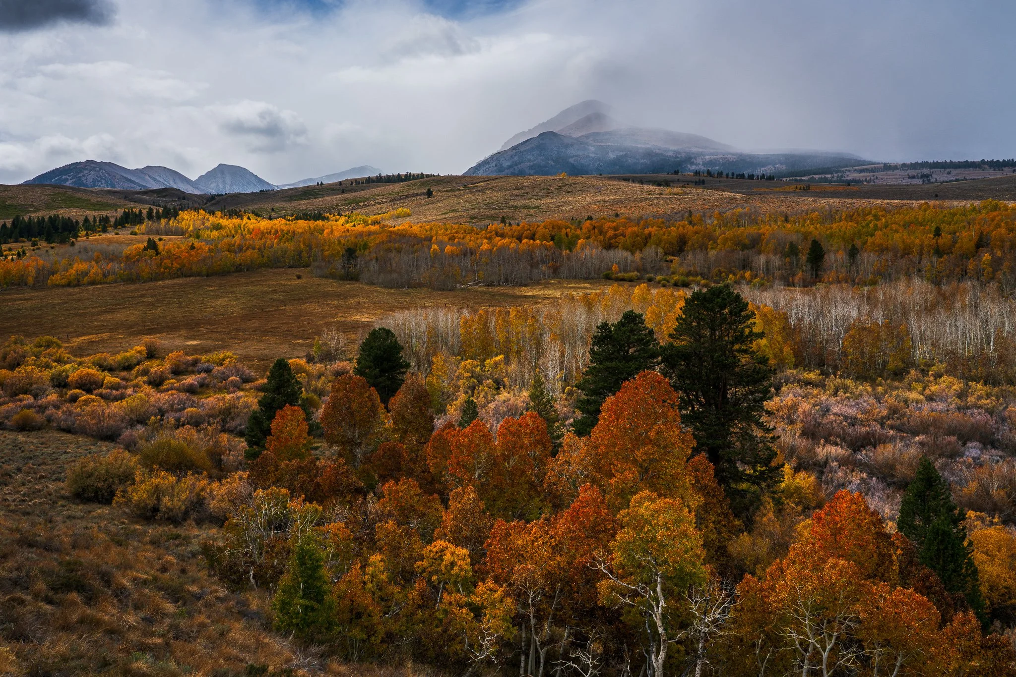 Bands of orange and yellow autumn trees cross a high-desert valley below a mountain partly hidden by storm clouds.