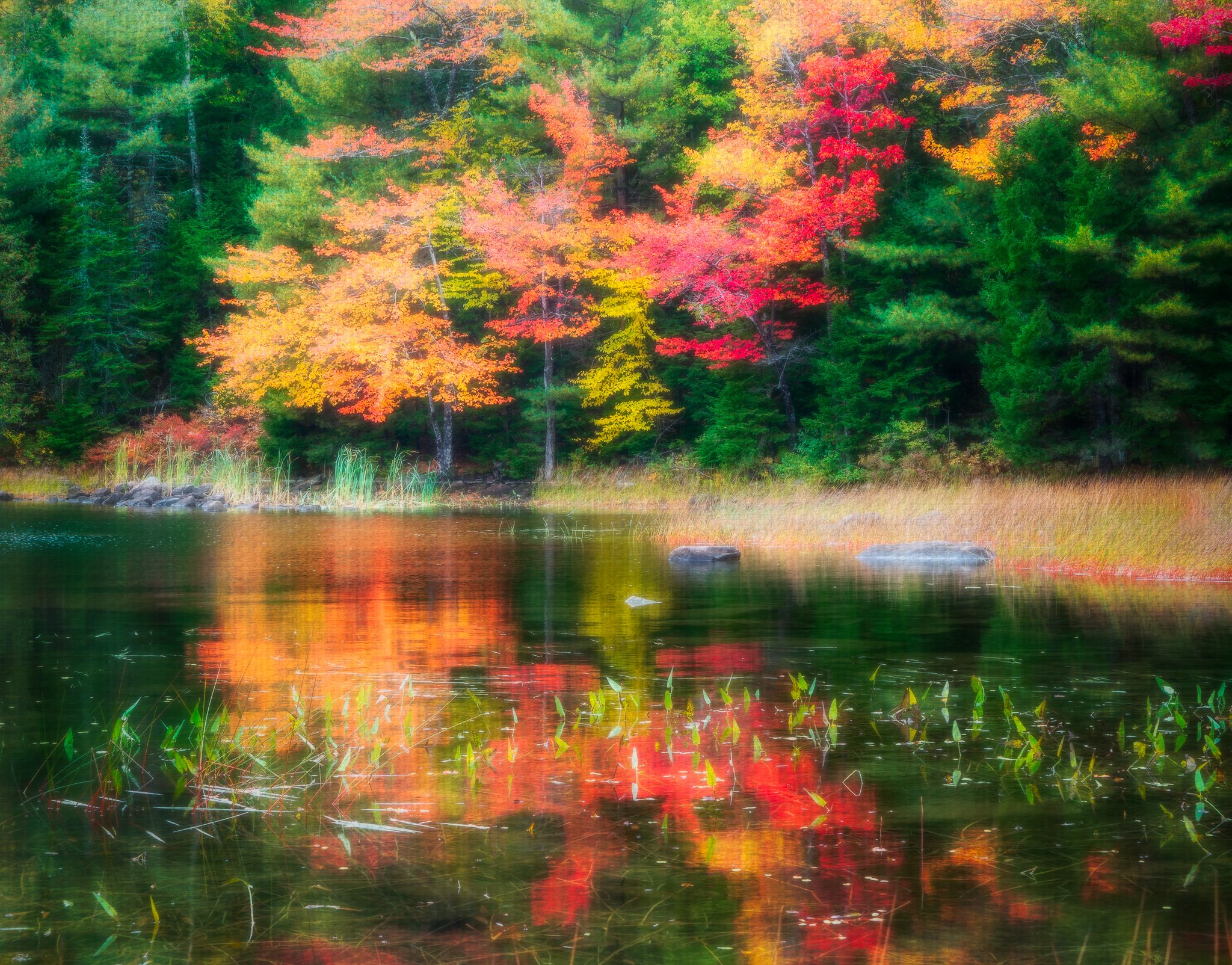 A photograph made in the Eagle Lake area of Acadia National Park during an autumn afternoon.