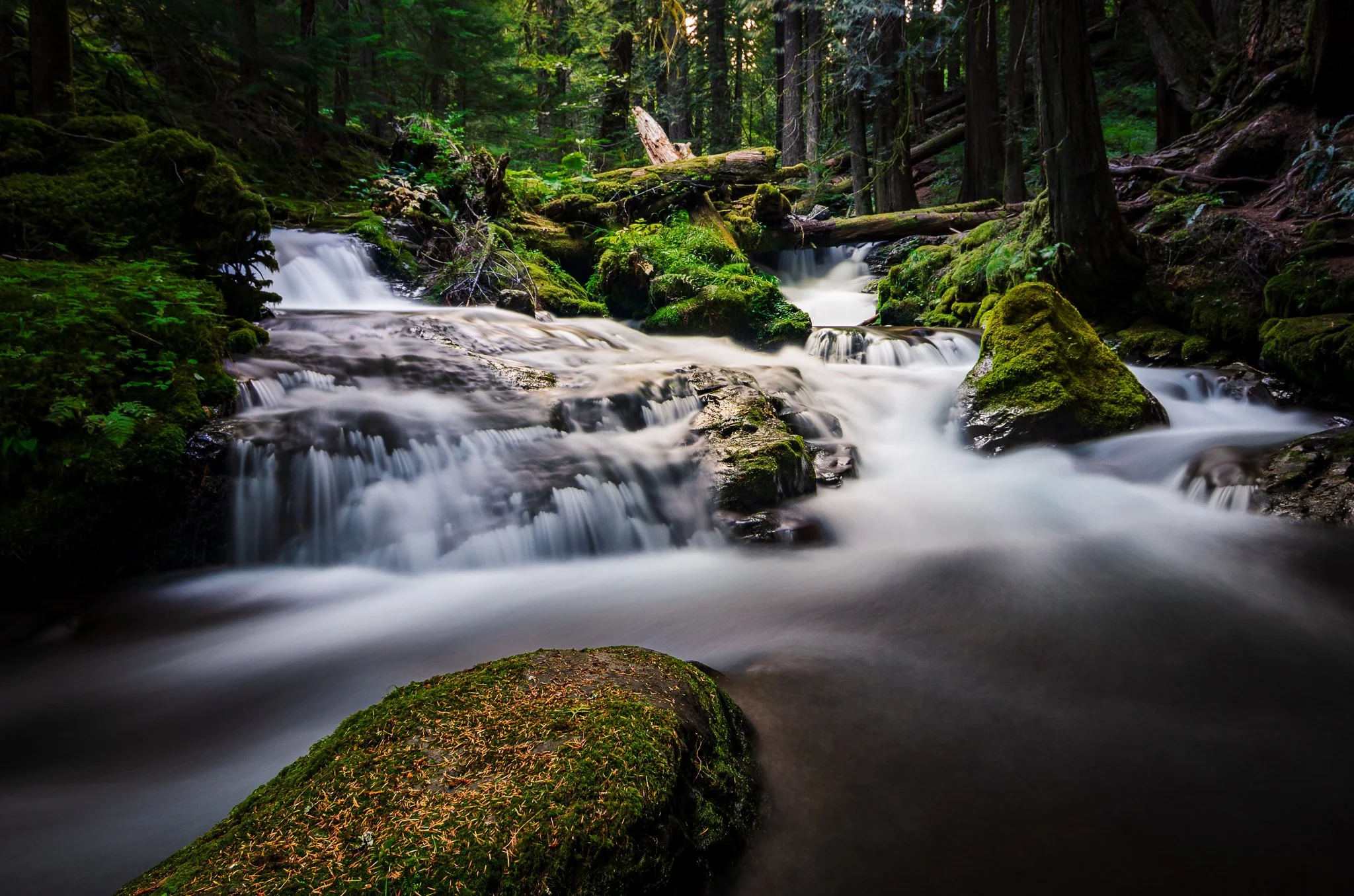 Revisiting a 10-Year Old Photo: How My Editing Evolved