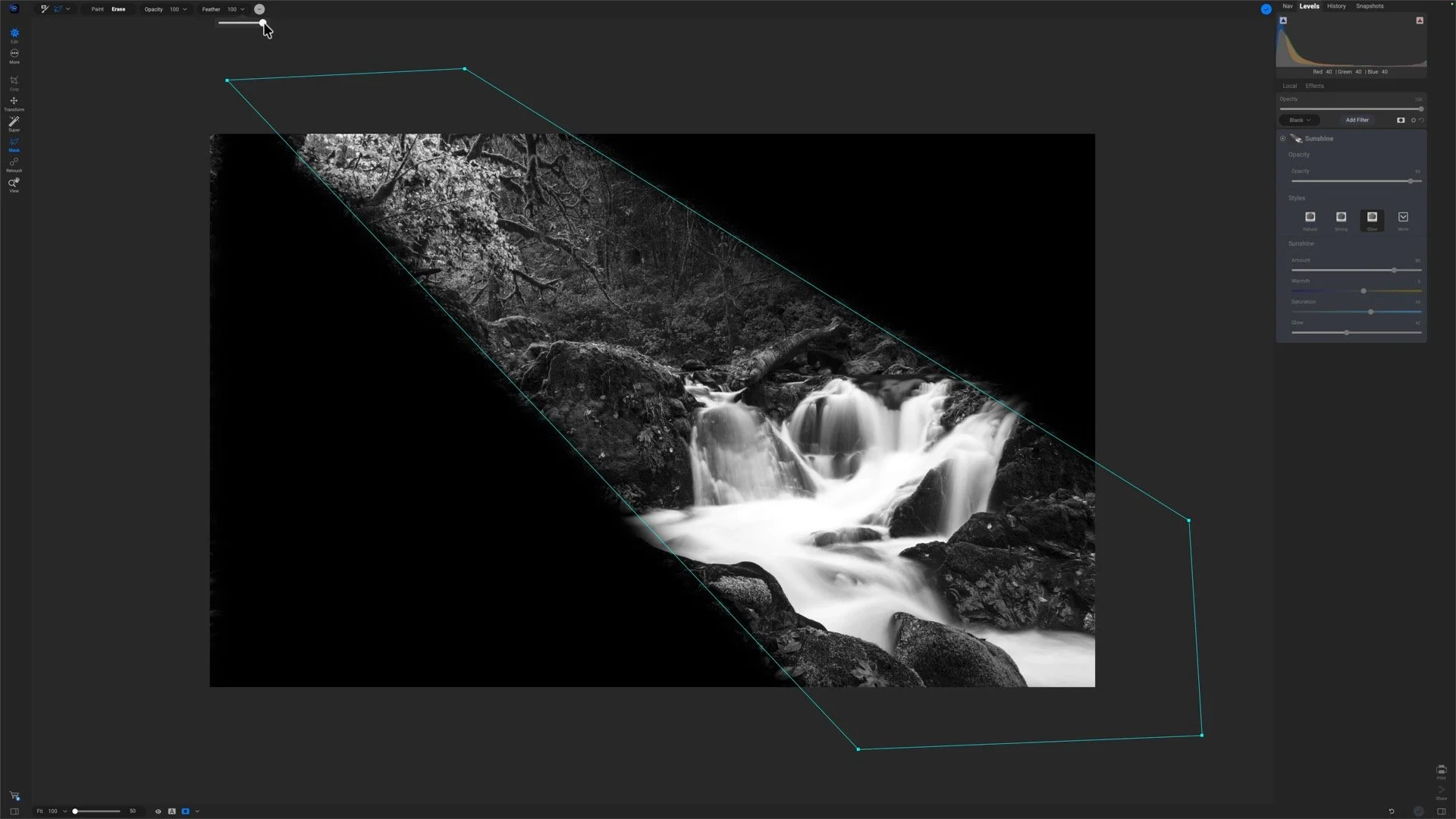 Selected line mask extending from outside the upper-left frame through the foliage, with Feather set to 100%.