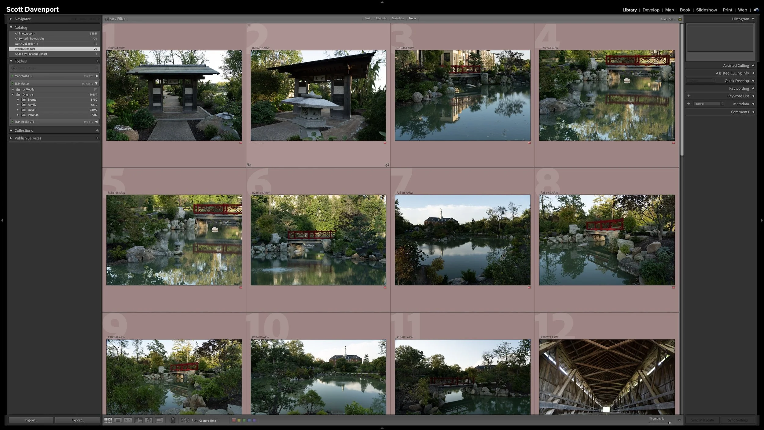 Lightroom Classic Library module in Grid view showing several photographs with original camera-generated filenames such as IMG_2017 or DSC_4128 visible above the thumbnails