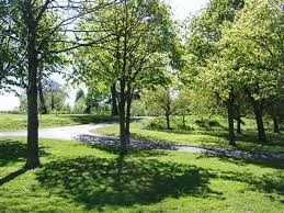Ormeau Park (picture of meeting point)