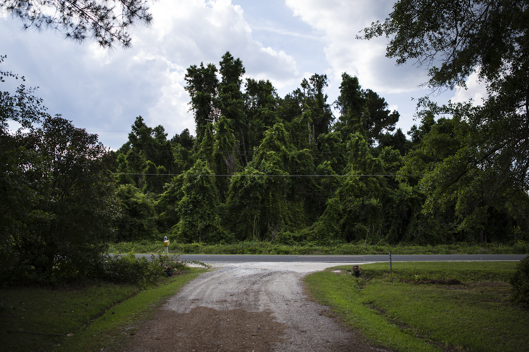 The view from George's driveway