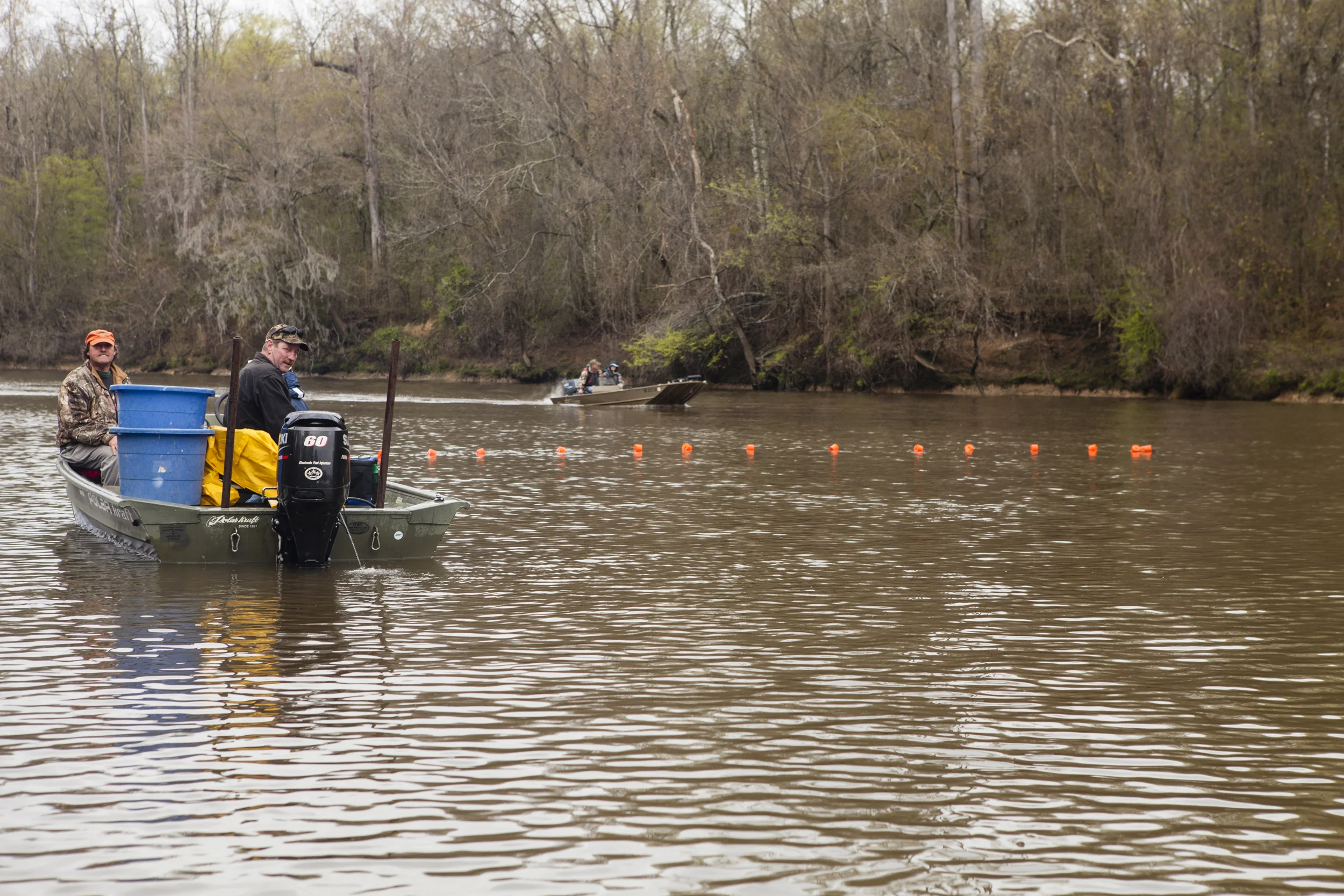 Shad fishing
