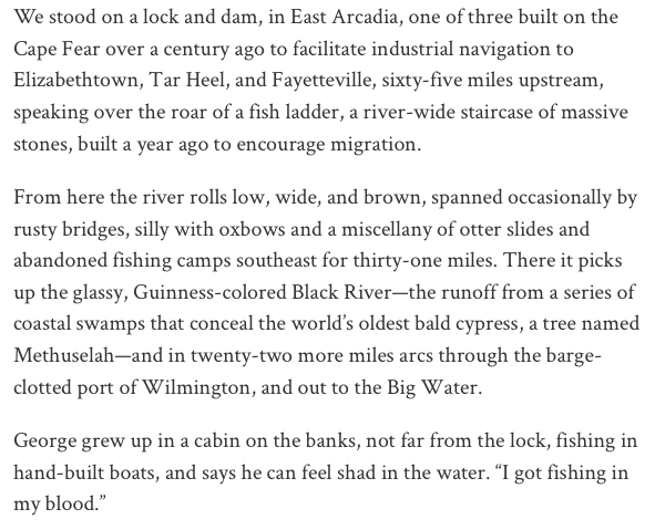  Words courtesy John McElwee 