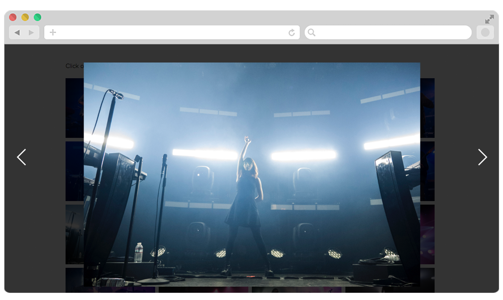 Clicking a thumbnail in the gallery simply opens a large view of the image in a full-screen light box. Users can use their arrow keys or click the arrows on screen to scroll through.