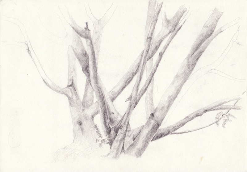 graphite on paper, 1994, Tomáš Gabzdil Libertíny