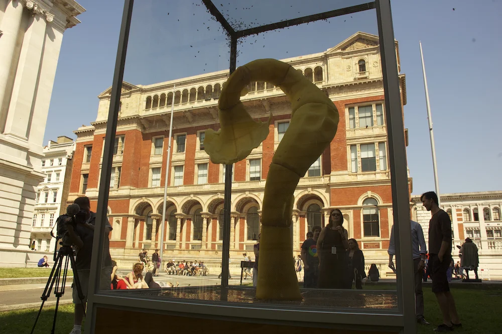 The Agreement In 2011, Tomáš Libertíny was approached by Di Robson to take part in the cultural festival during London Olympics 2012. Along with other artists, Katie Patterson and Graeme Miller, Tomáš Libertiny was commisioned by the Royal Borough of Kensigton and Chelsea to create a public living art work. Studio Libertiny teamed up with Peter James from the Physics Chelsea Garden and Rudolf Moravčík from The Beekeeping Museum in Slovakia. Studio Libertiny designed an organic tower-like structure on which the bees were invited to build their home (wax honeycombs). The skeleton was carefully engineered to accommodate for tensions and stability as well as minimal obstruction for building of cells. The title of the work insinuates the fragile relationship between nature and technology / one can not force nature only invite her when the conditions are set right hence the mutual agreement. The structure was build and inhabited by a colony of bees who were free to fly in and out of the glasshouse. Year: 2012 Location : Exhibition Road, South Kensington Event : The Exhibition Road Show / collateral event to London Olympics 2012 Collaborators: Studio Kees / 3D modelling and structure design Culture Crew / custom design of AC unit Keri Elmsly / project production and coordination Peter James and Rudolf Moravčík / beekeepers Studio Libertiny team: Lenka & Katka Dobránska, Kars Rotteveel Text and Essay about the work by PhD. Lukáš Jenik is HERE .