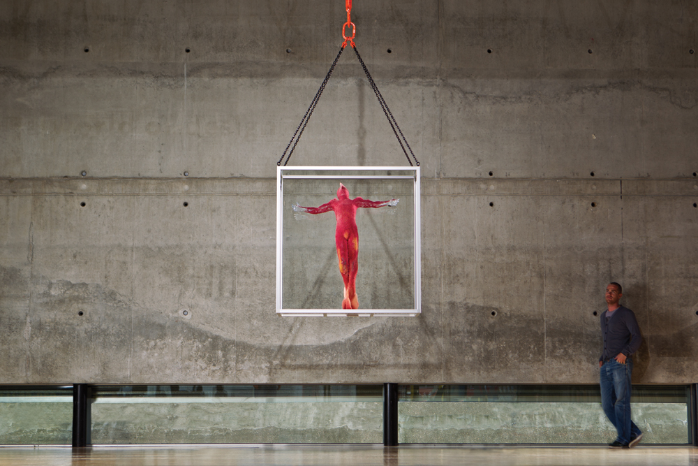 All photos above: Jos Kottmann