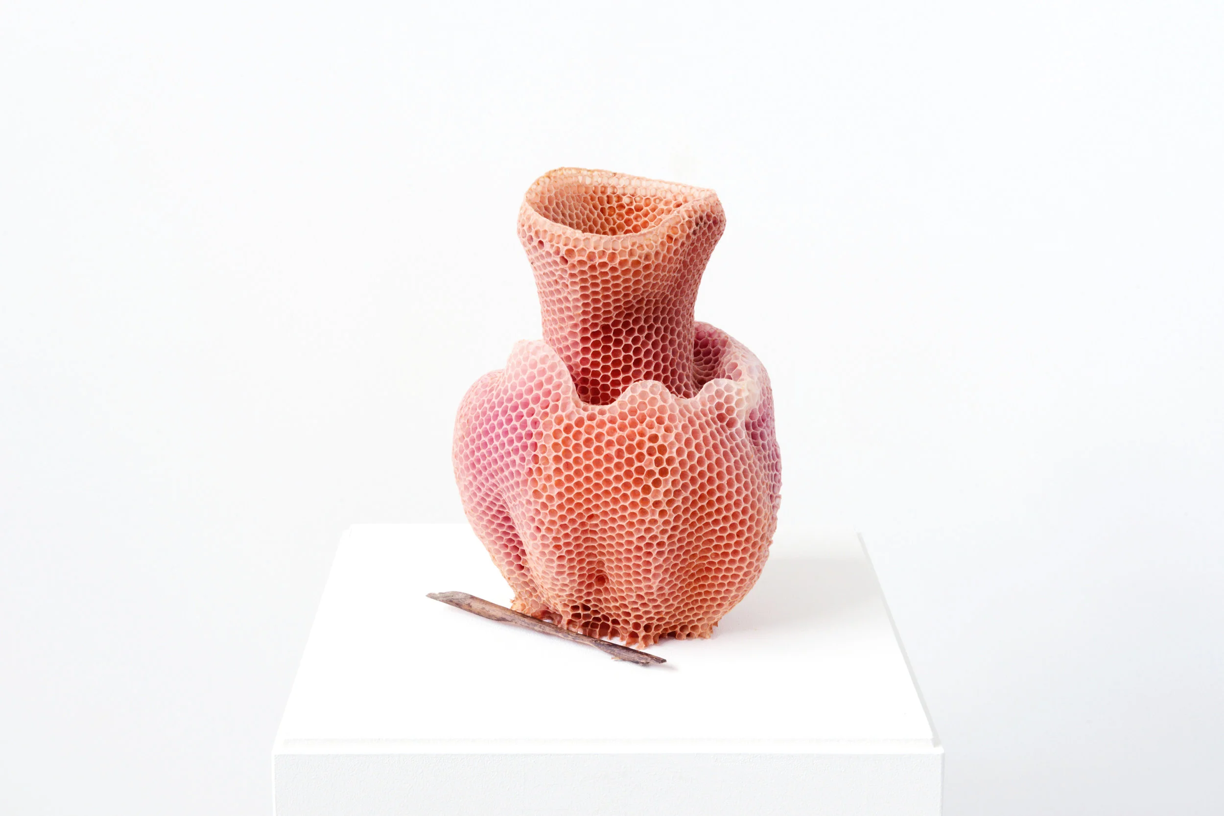 The Honeycomb Vase | RedYear: conception 2005, realisation 2006-2018Materials: beeswaxDimensions: 16 x 16 x 22 cm (may vary)Edition: 7 + 2AP'sPhoto above: Titia Hahne / THV Red No.5 / Private CollectionDescription: The series of vases were completel…